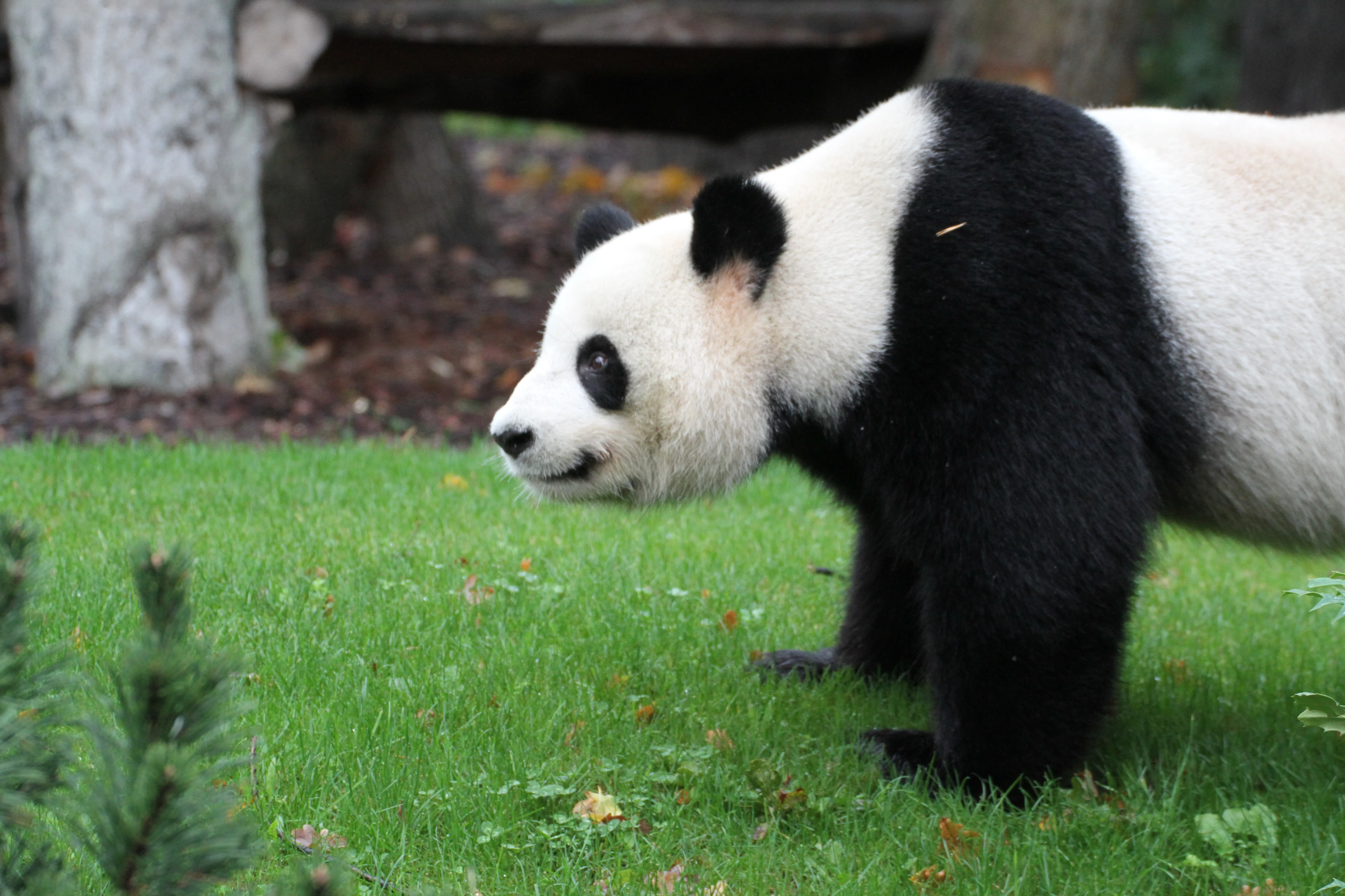 Zoo Berlin