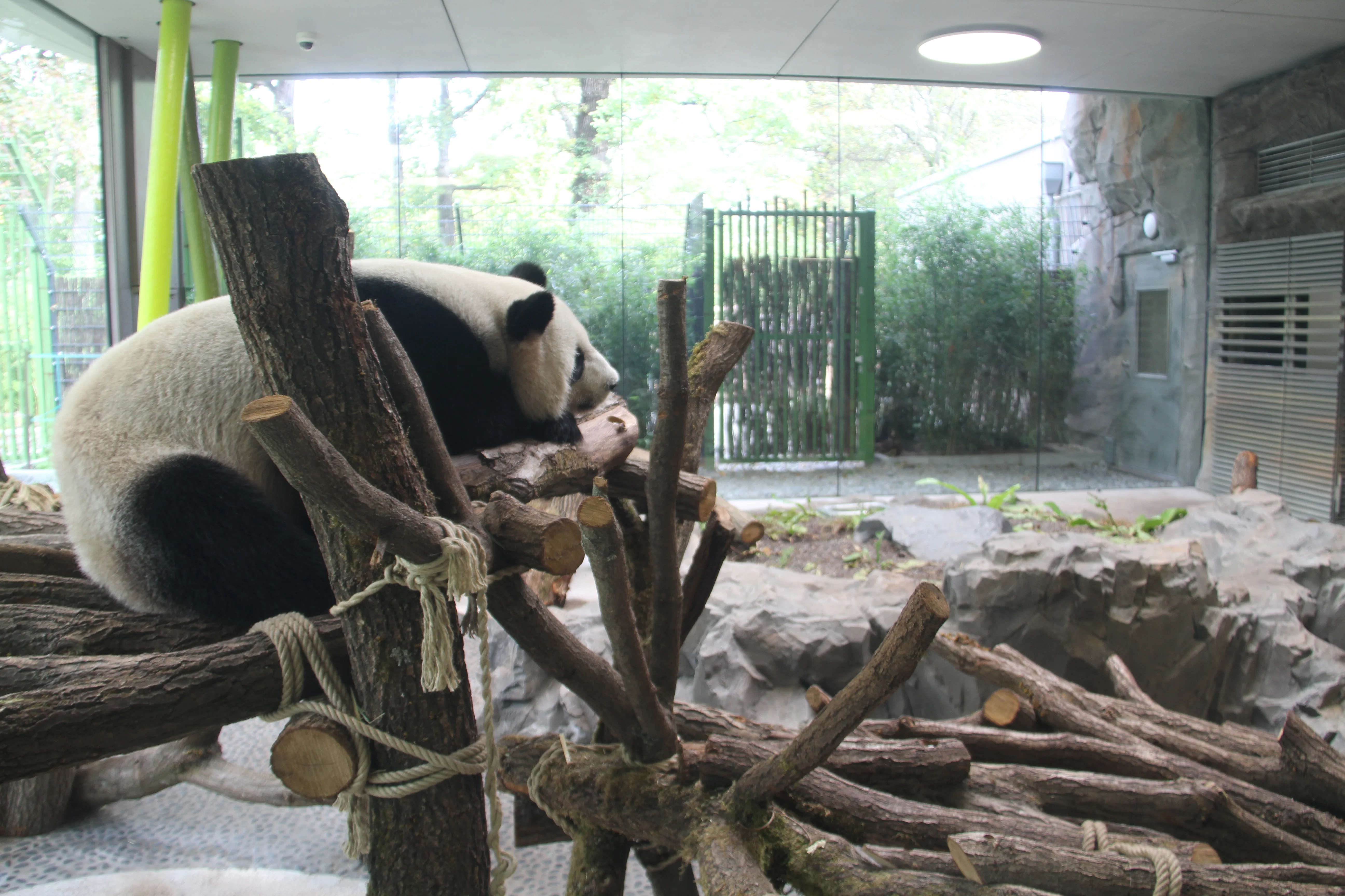 Zoo Berlin