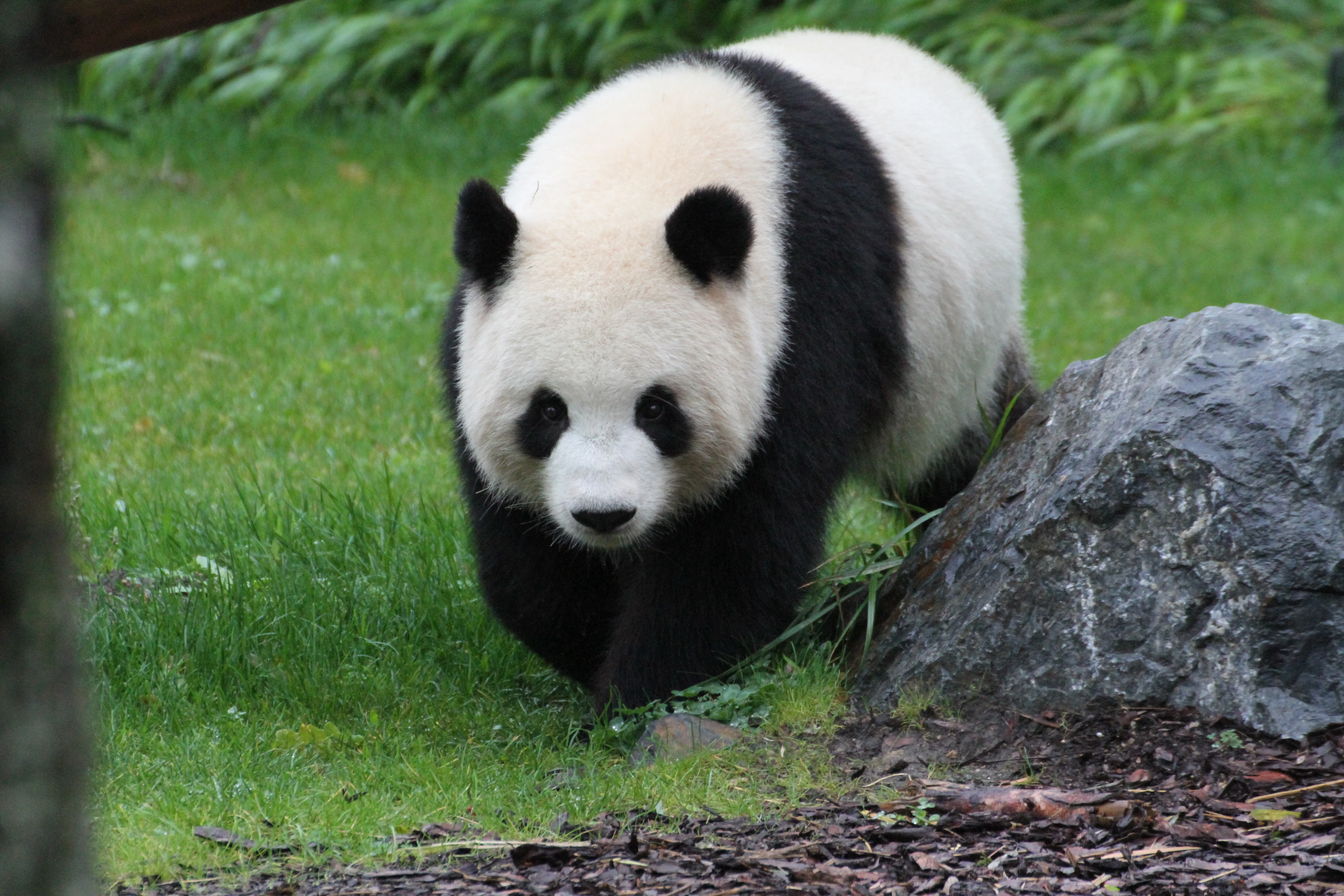 Zoo Berlin