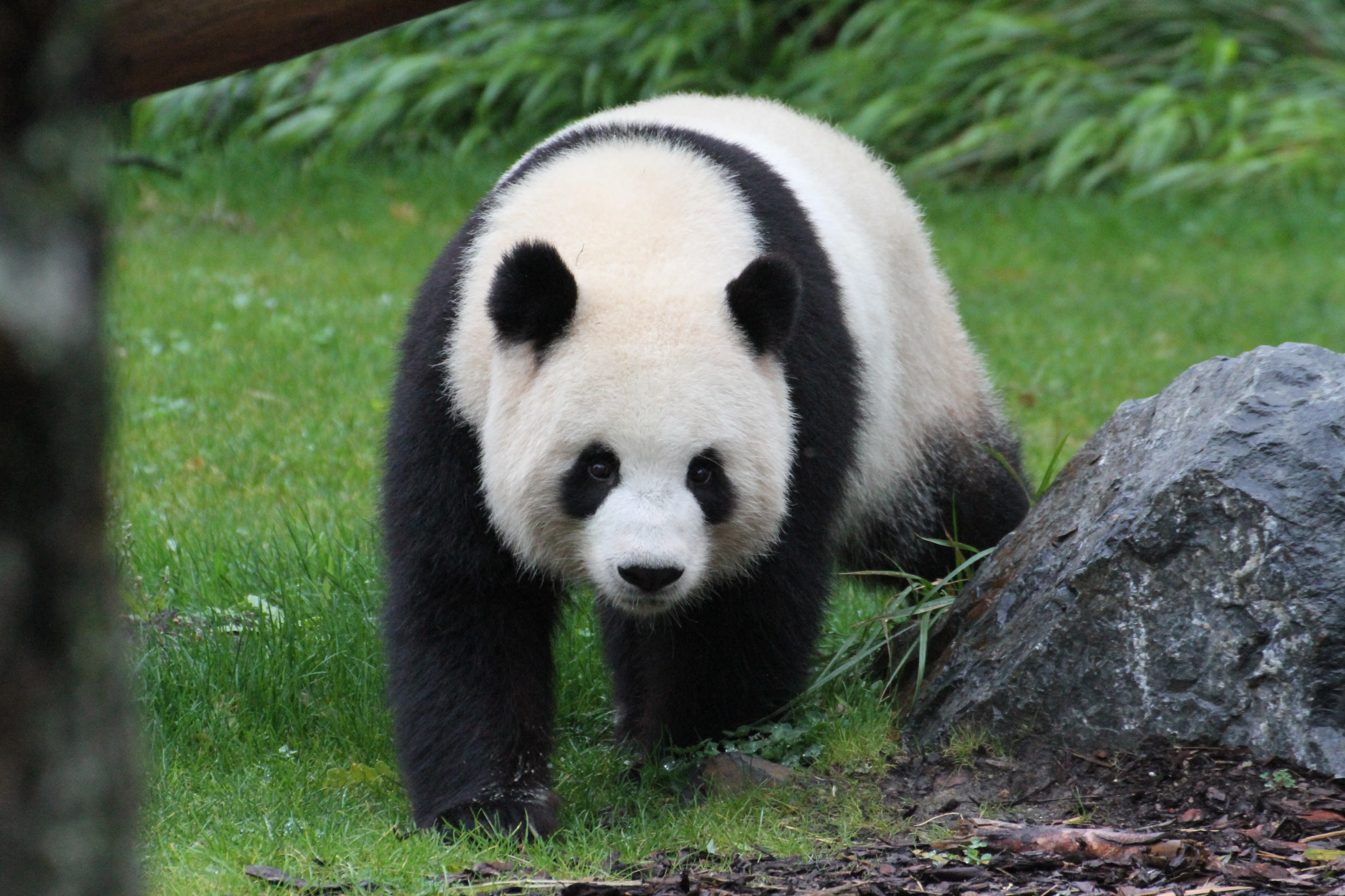 Zoo Berlin