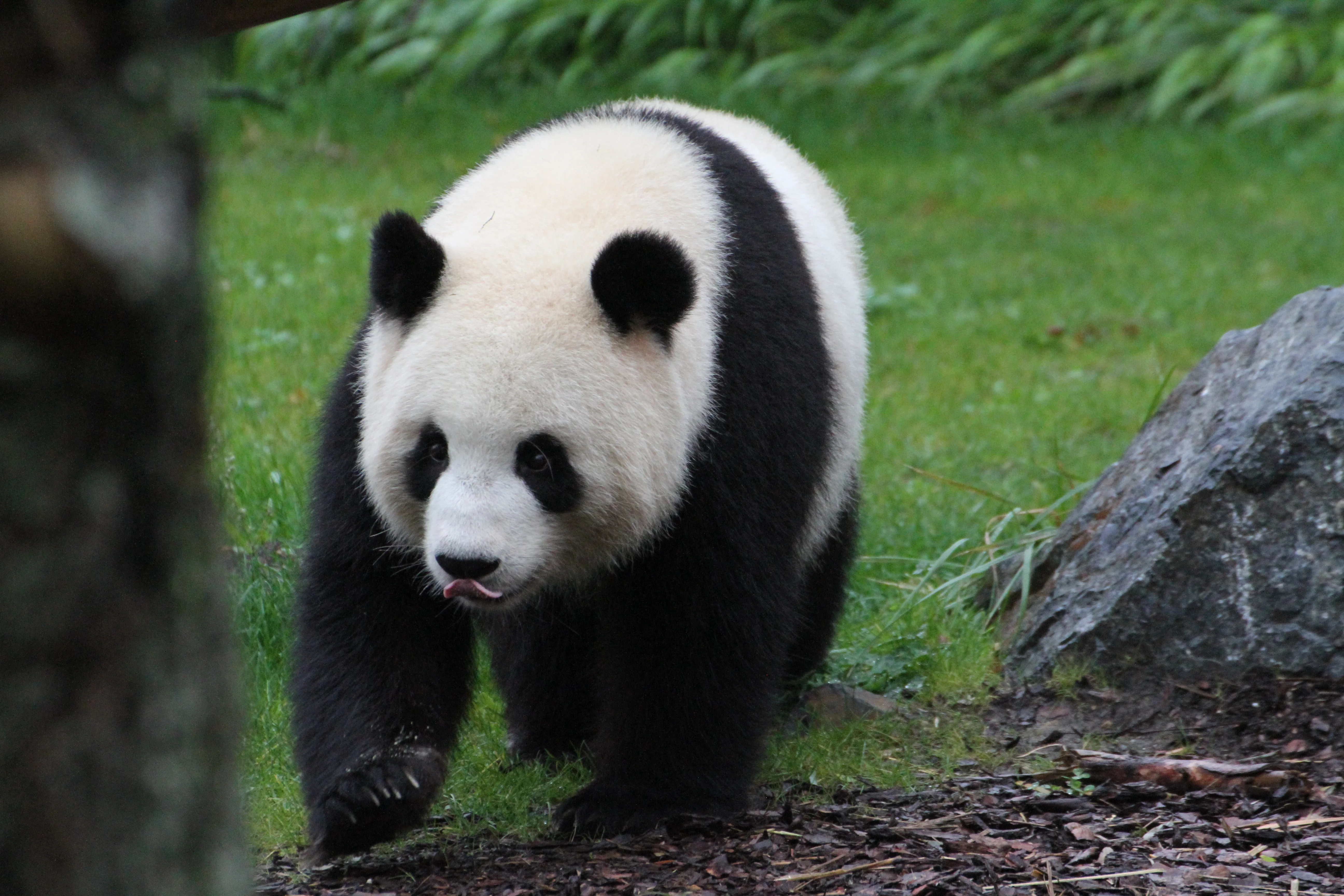 Zoo Berlin