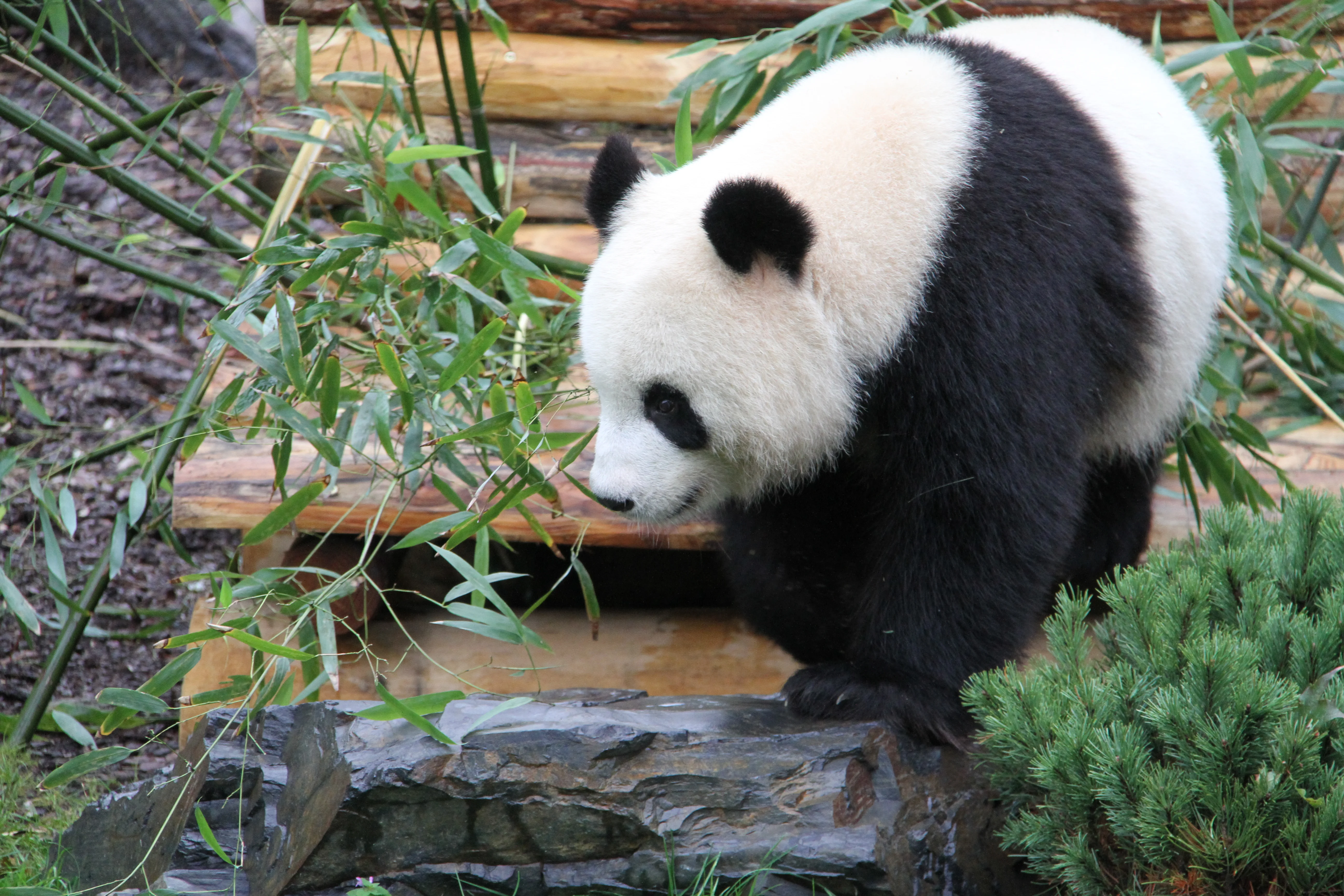 Zoo Berlin