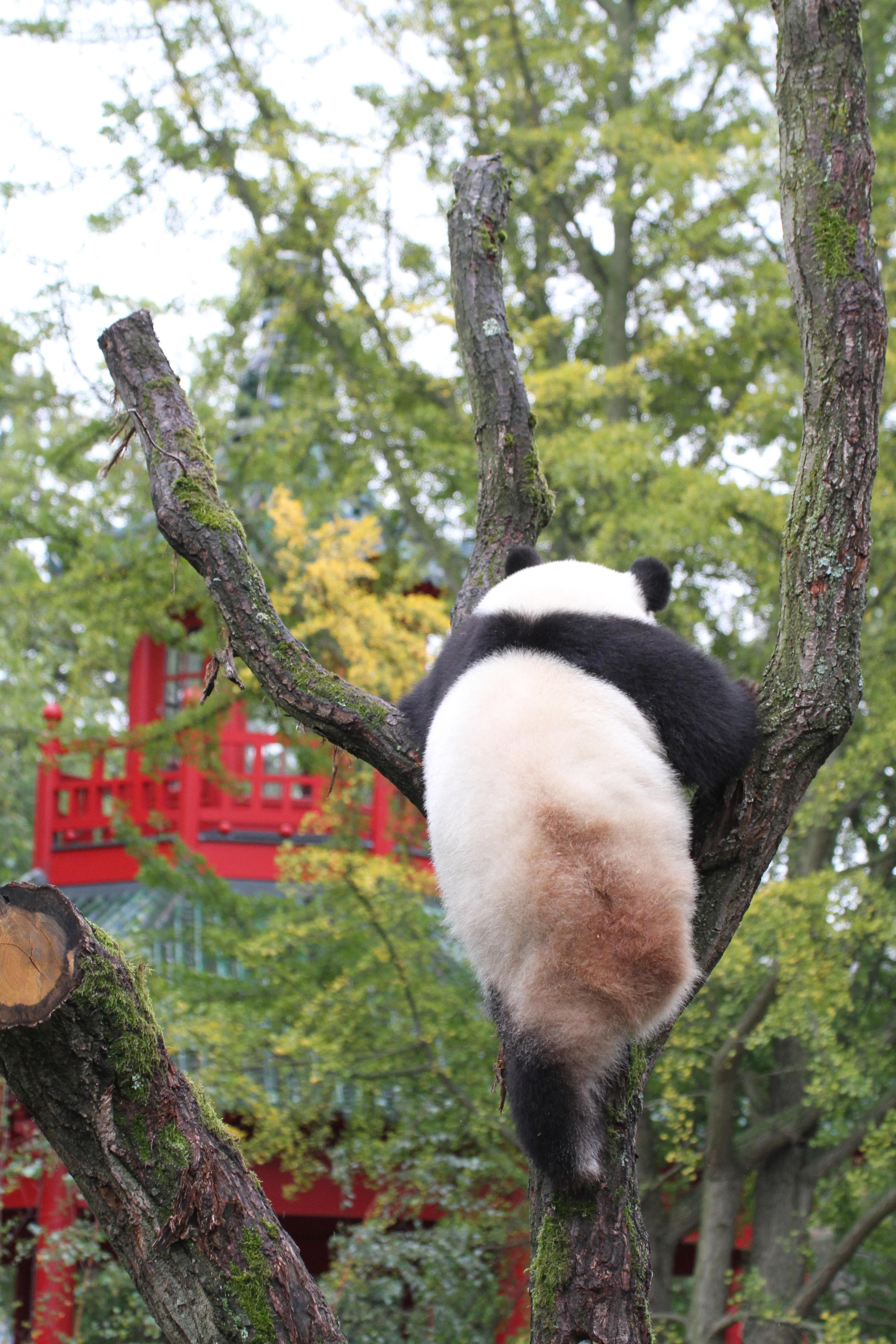 Zoo Berlin