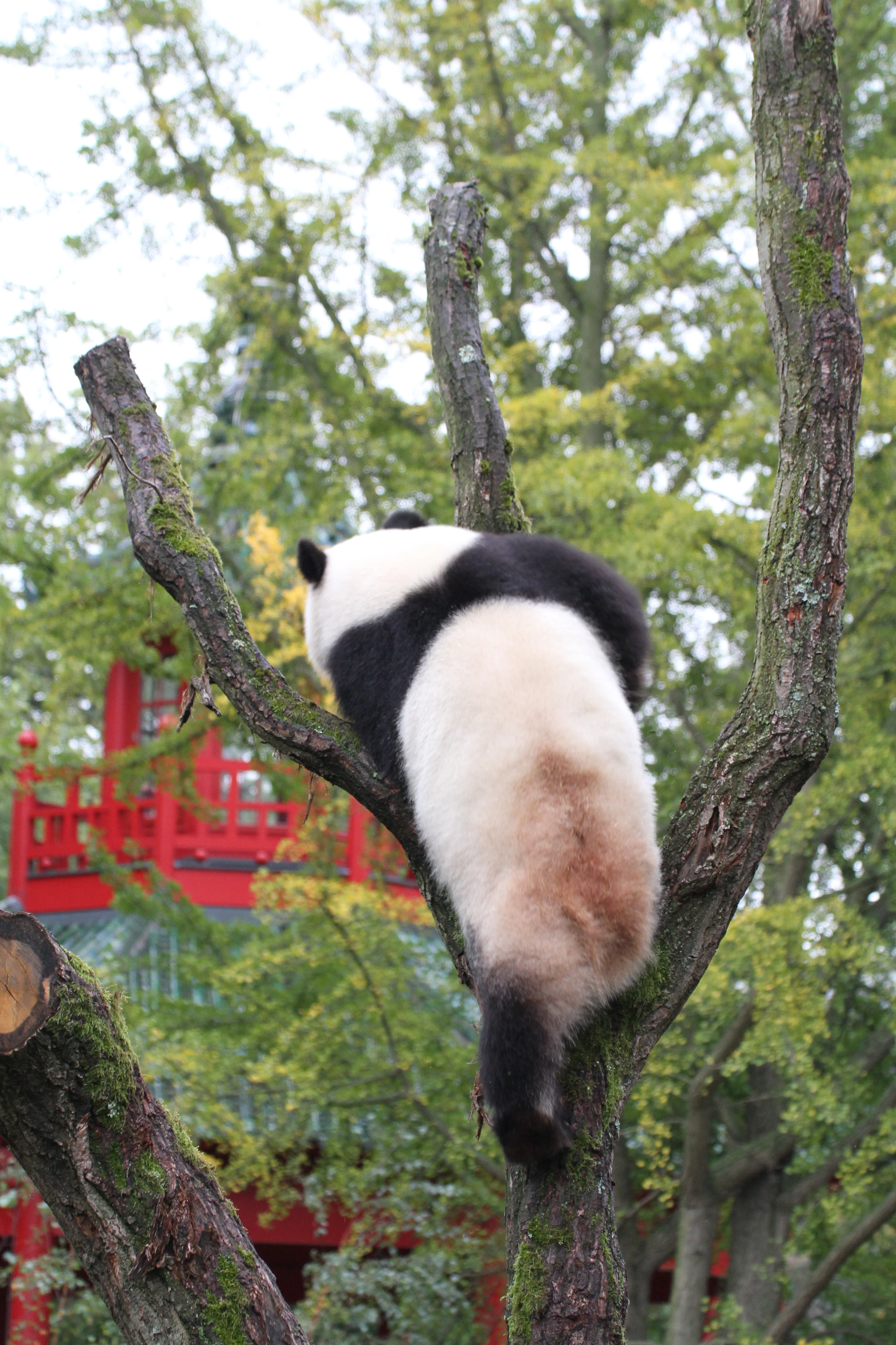 Zoo Berlin