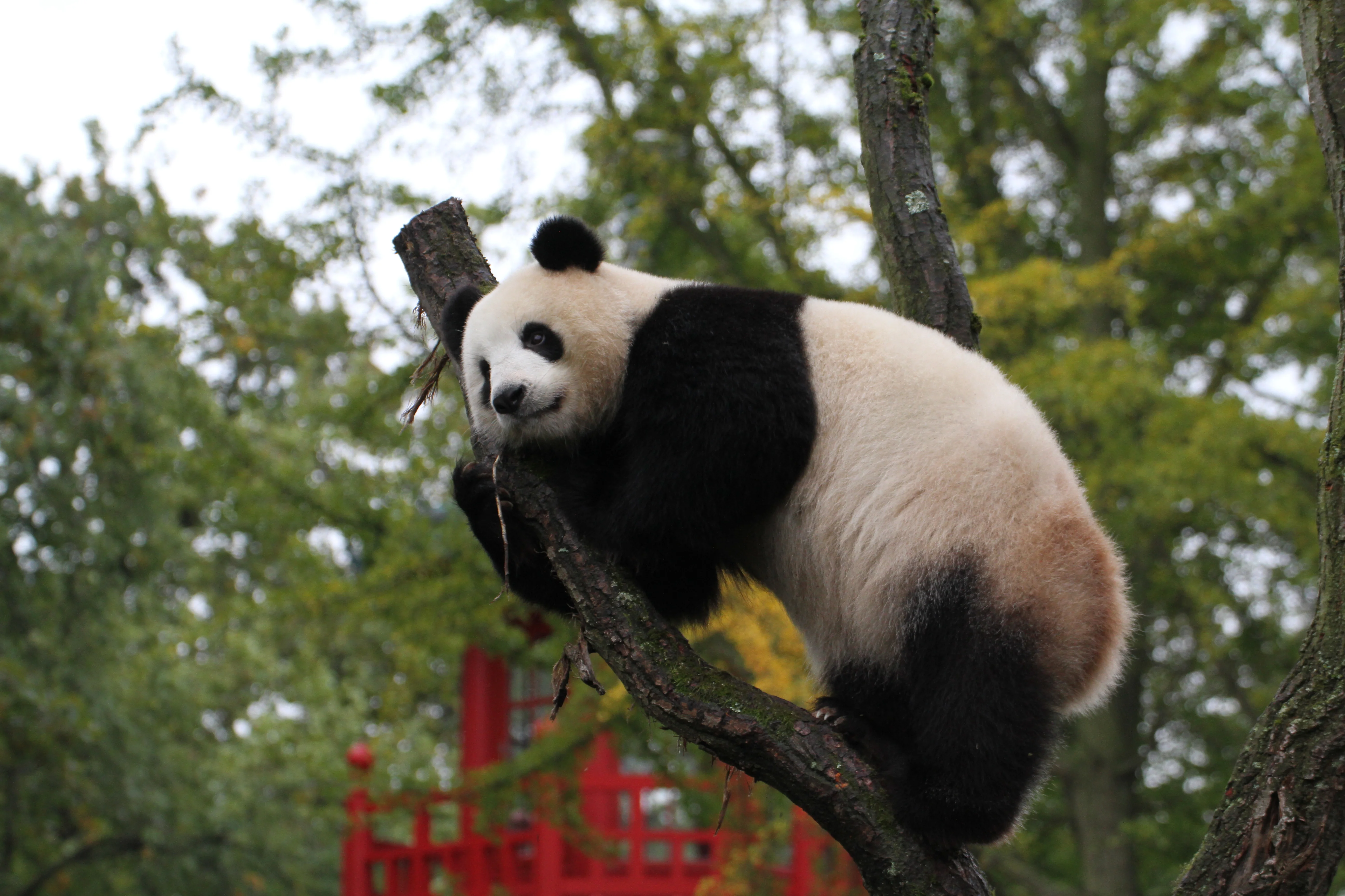 Zoo Berlin