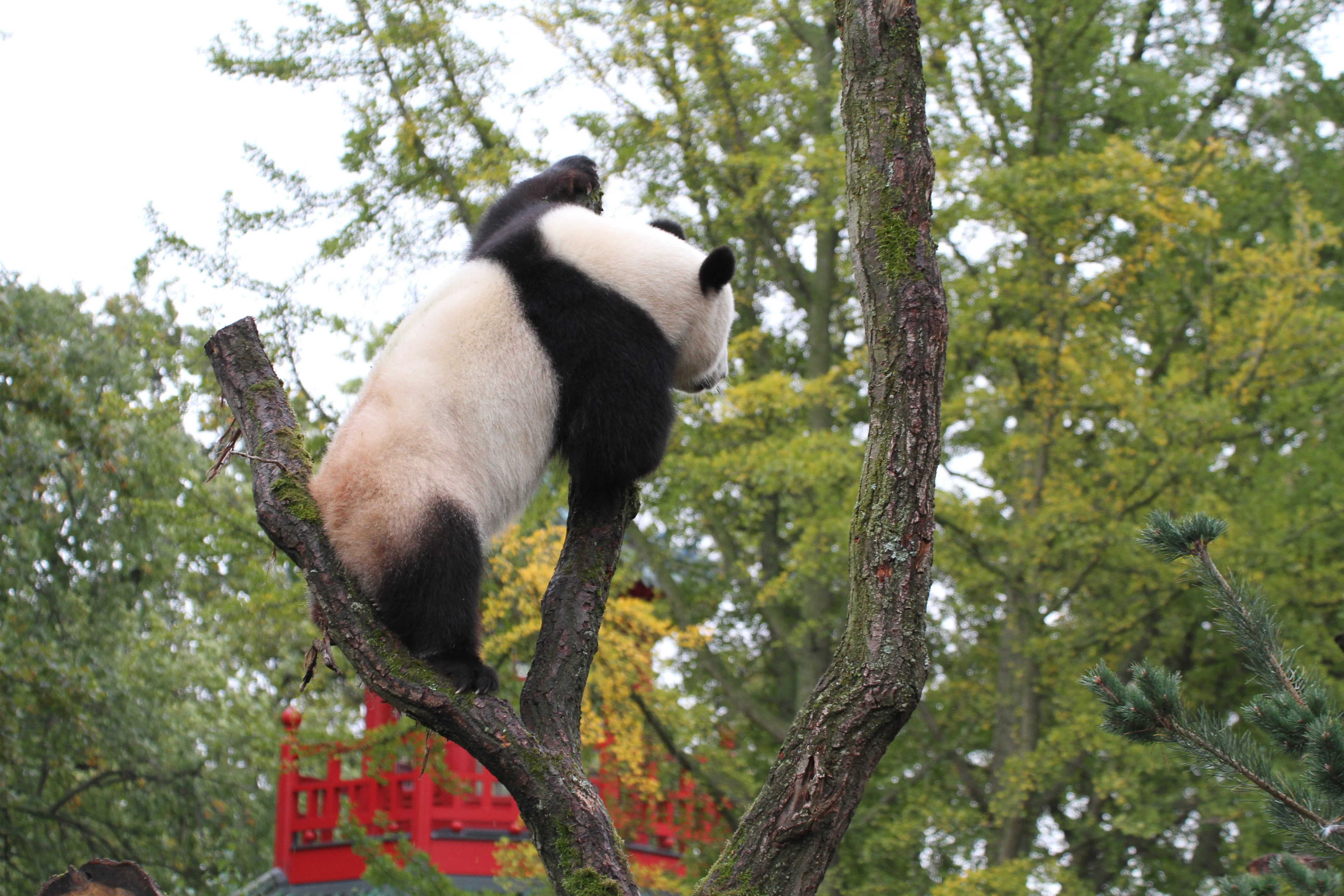 Zoo Berlin