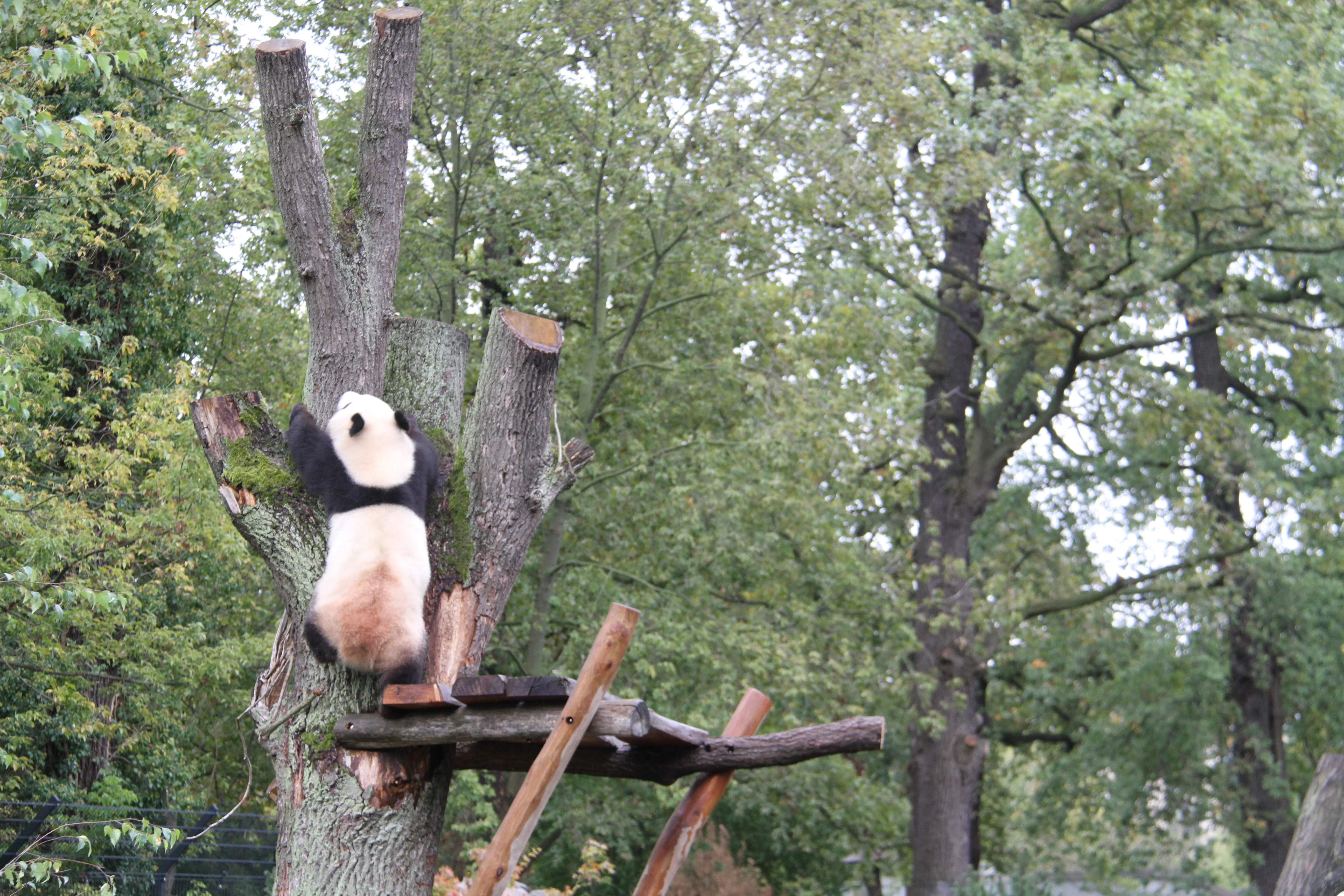 Zoo Berlin