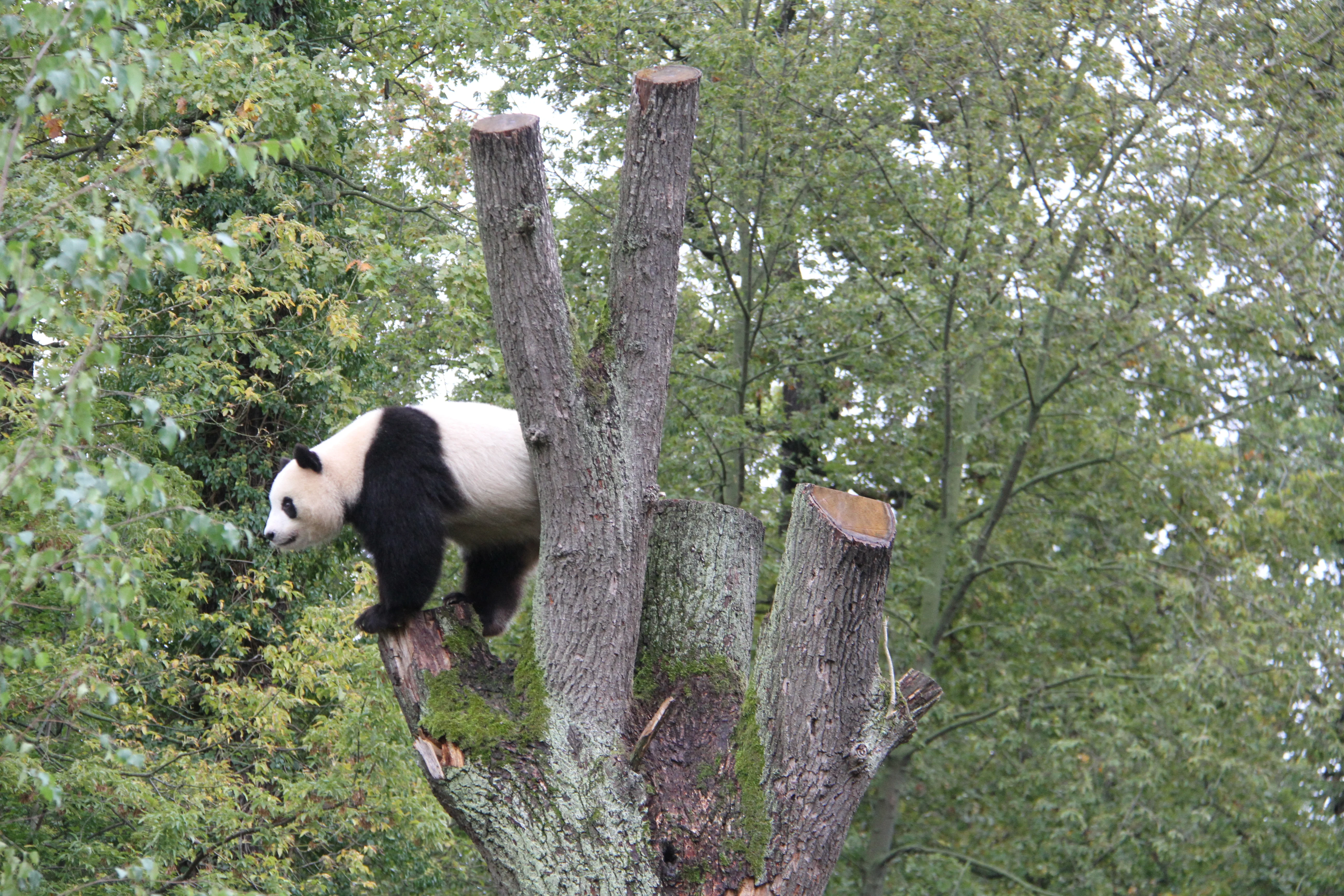 Zoo Berlin