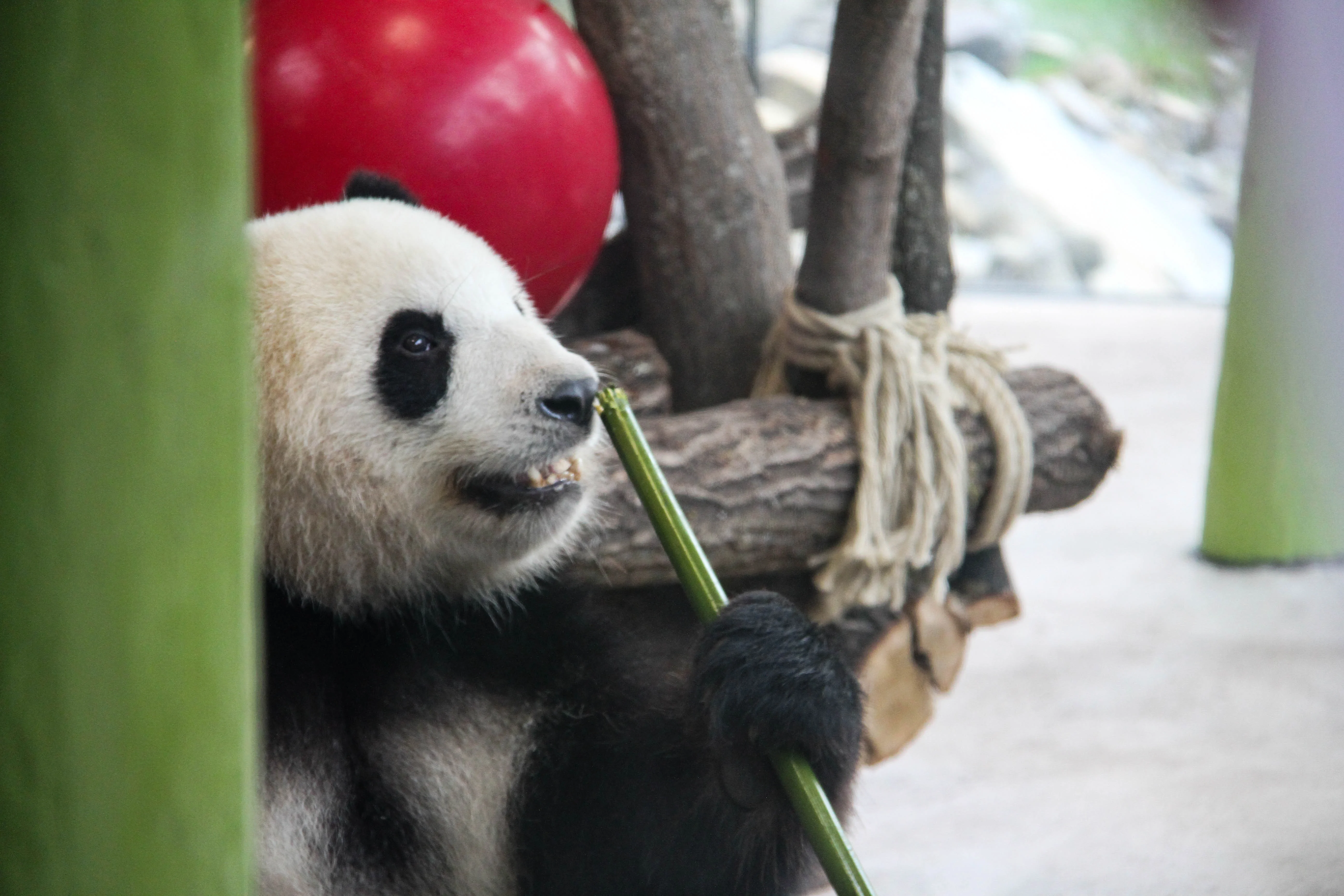 Zoo Berlin