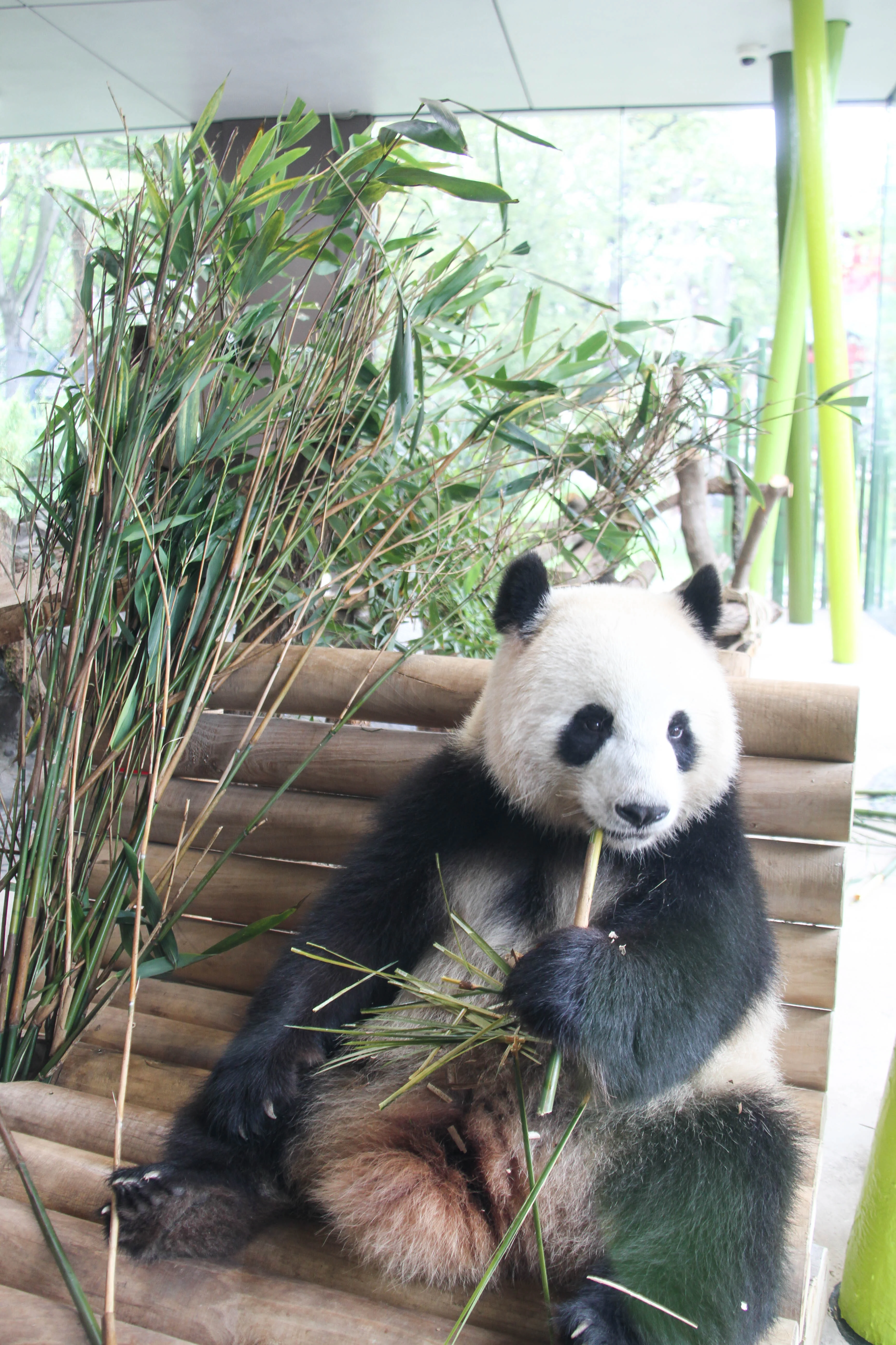 Zoo Berlin