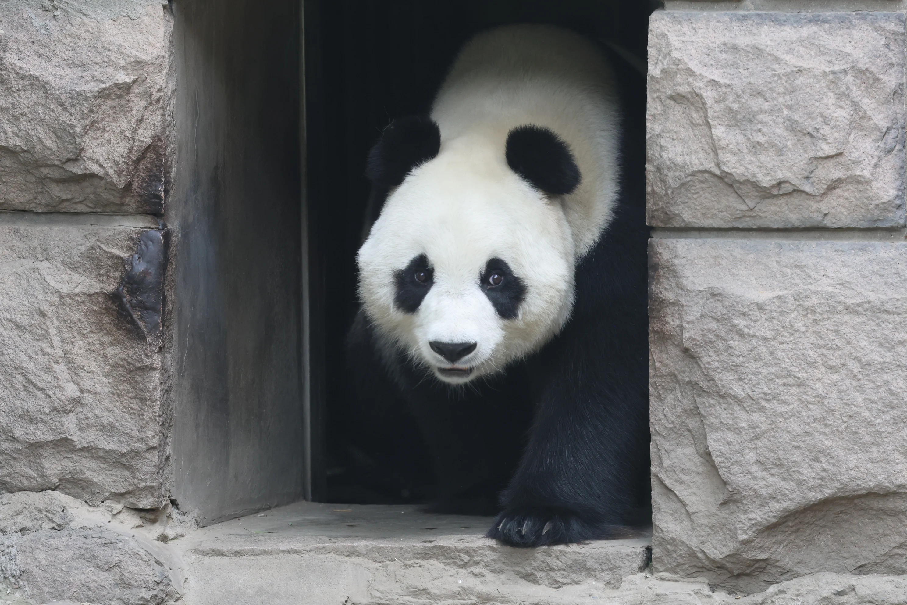 Beijing Zoo