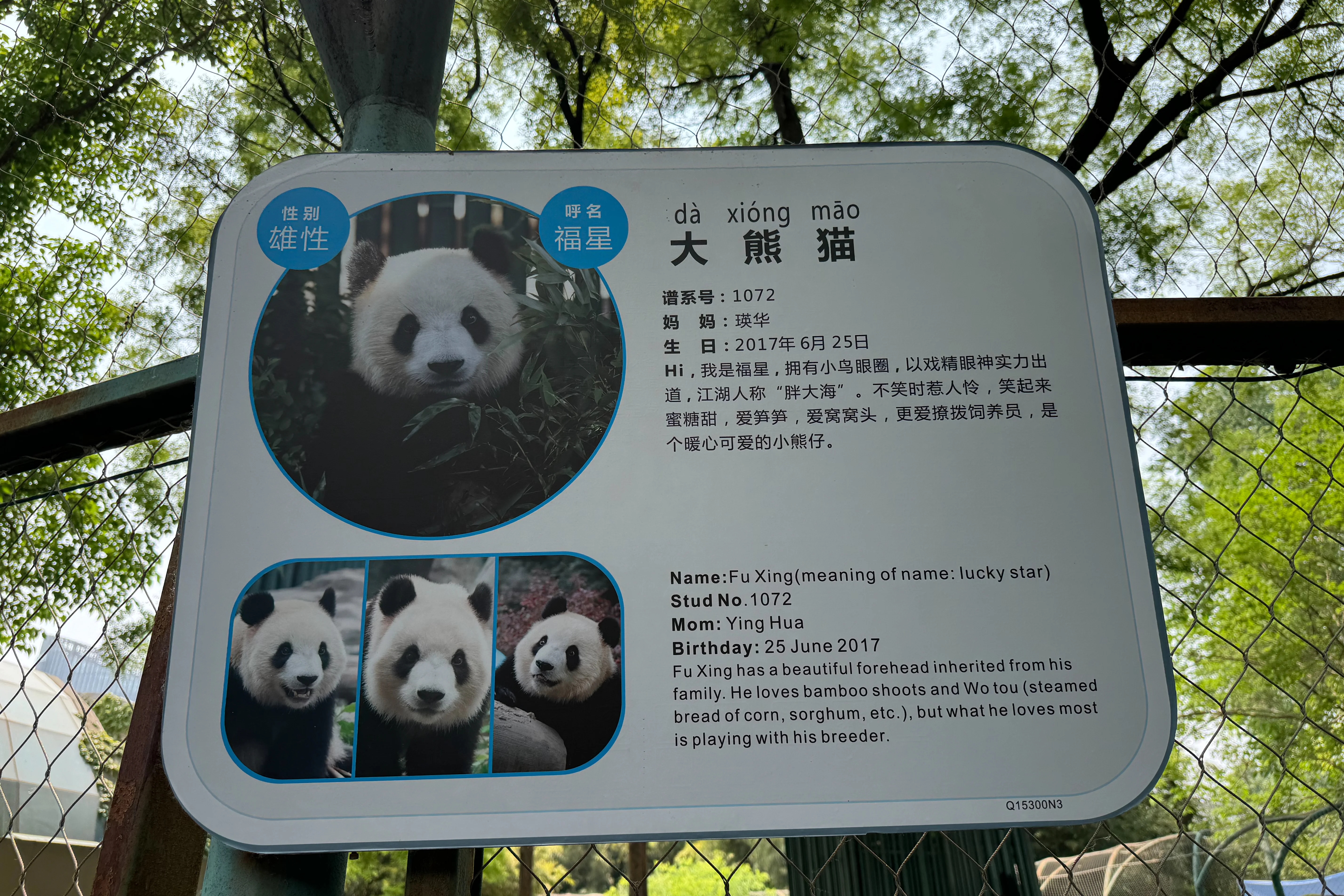 Beijing Zoo