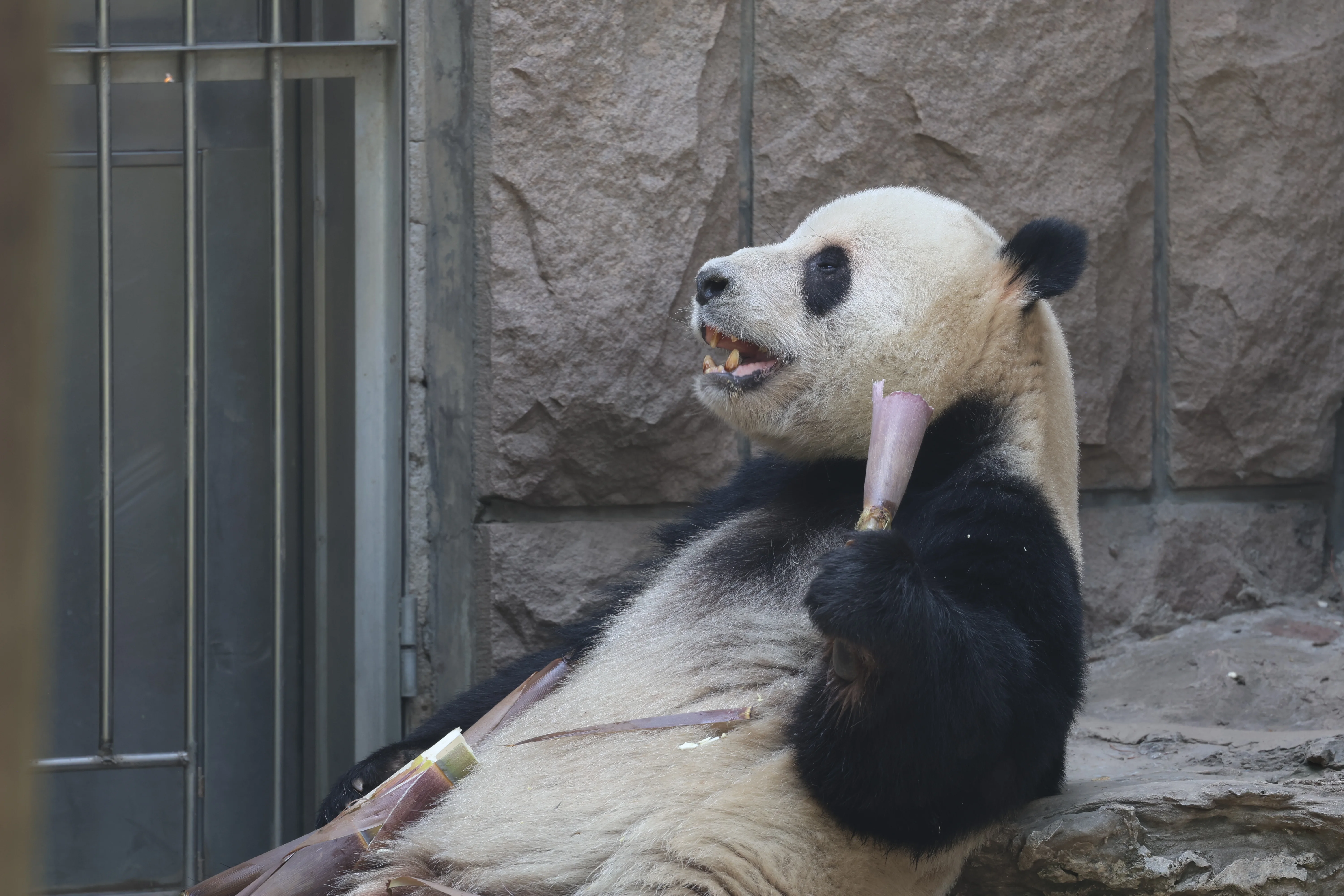 Beijing Zoo