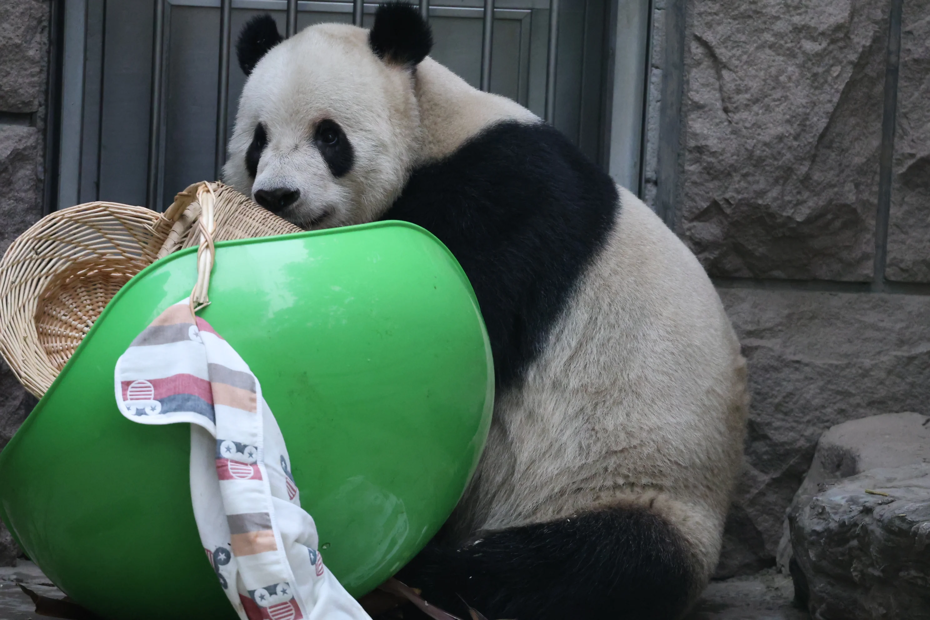 Beijing Zoo