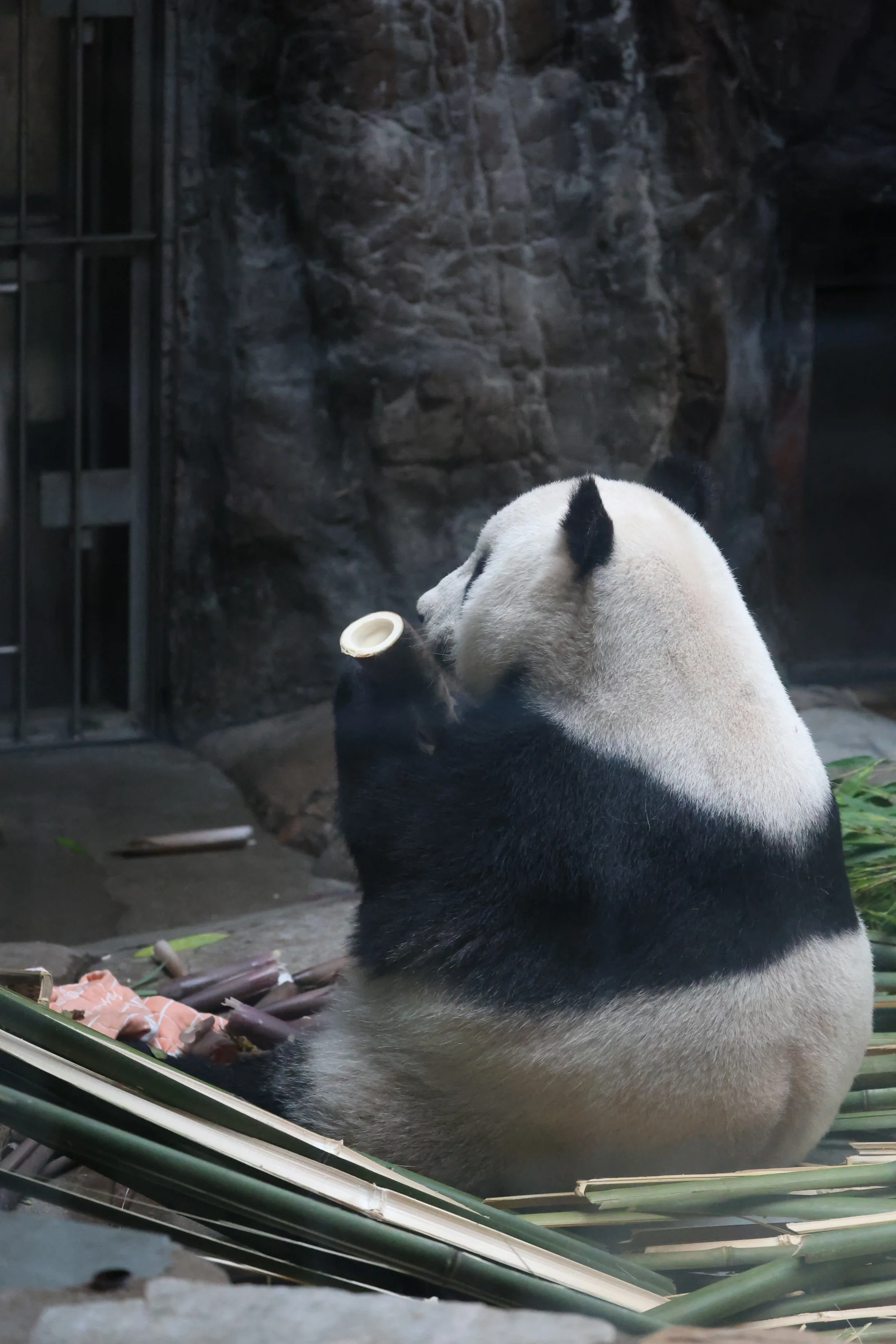 Beijing Zoo