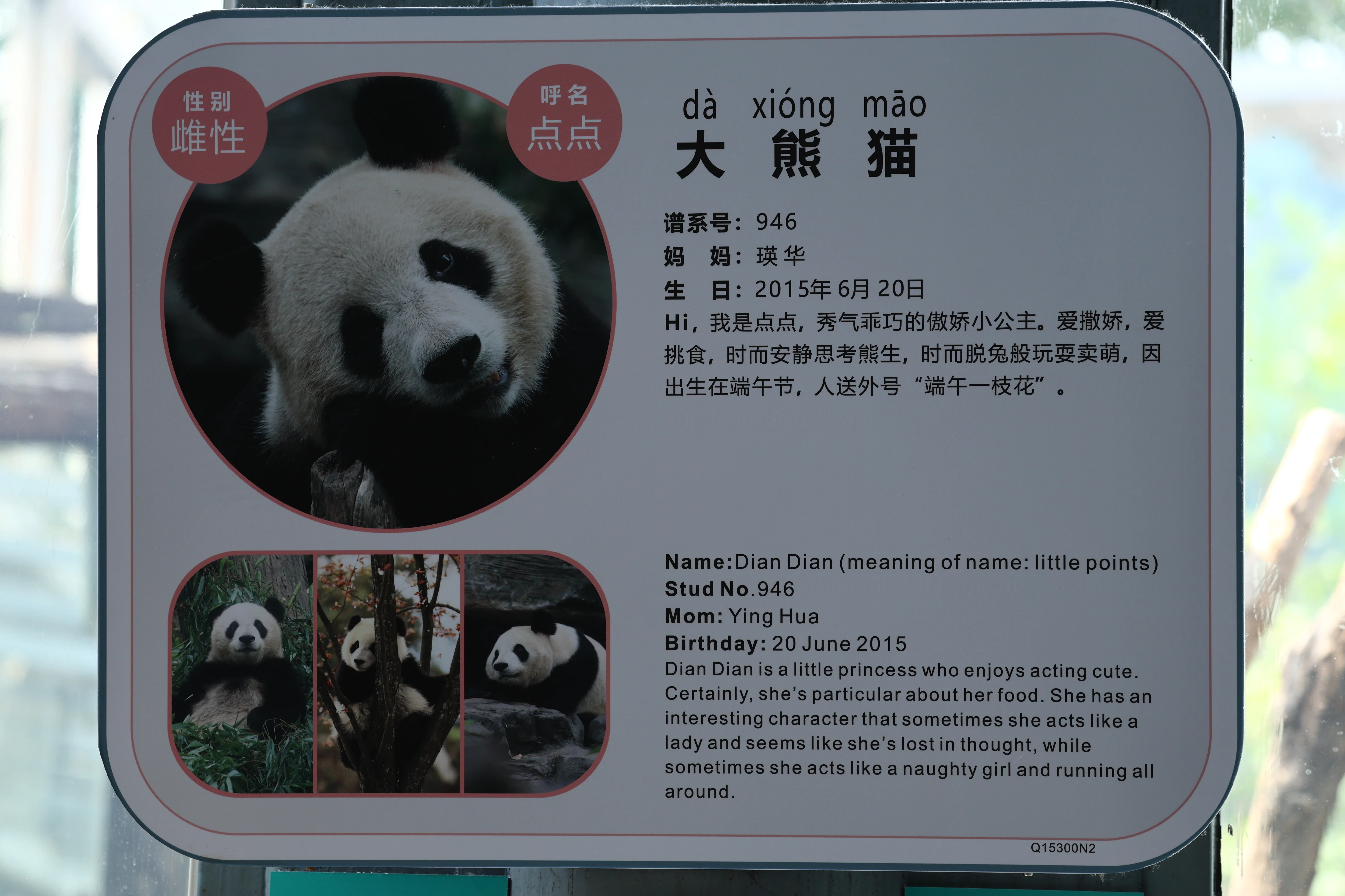 Beijing Zoo