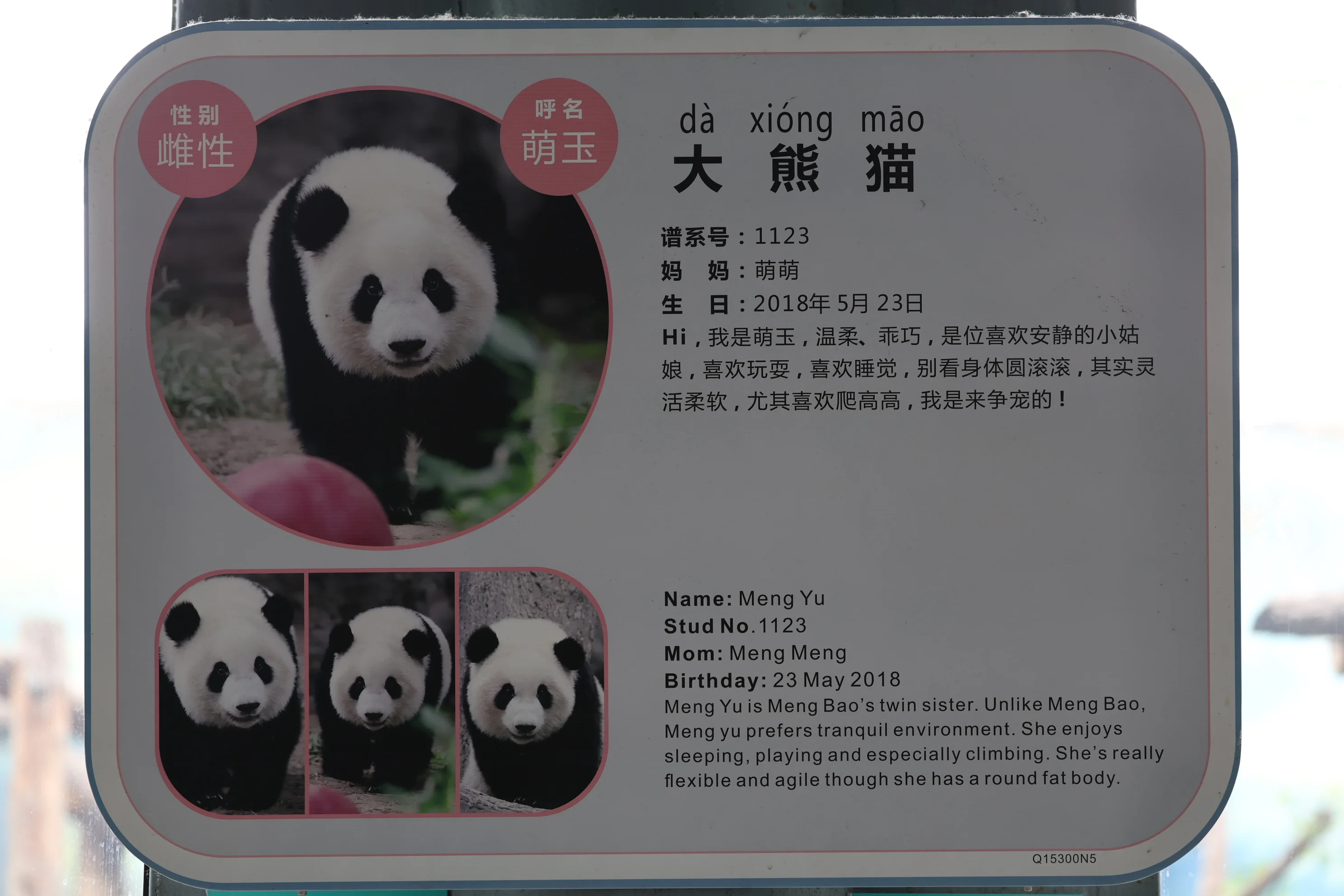 Beijing Zoo