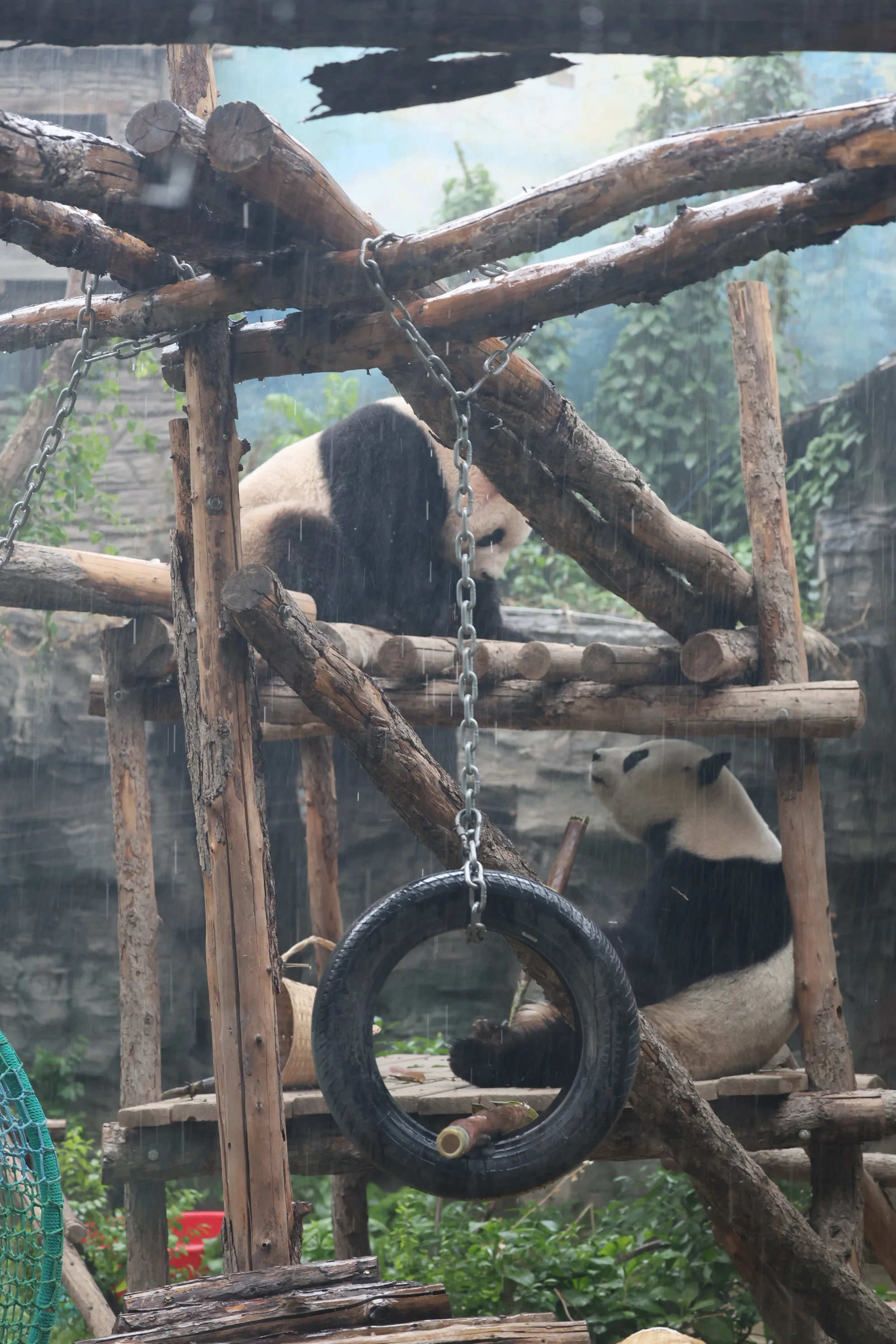 Beijing Zoo