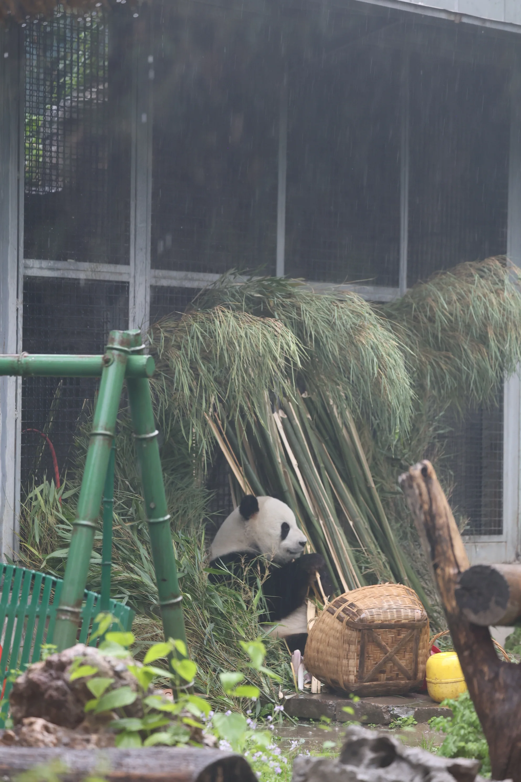 Beijing Zoo