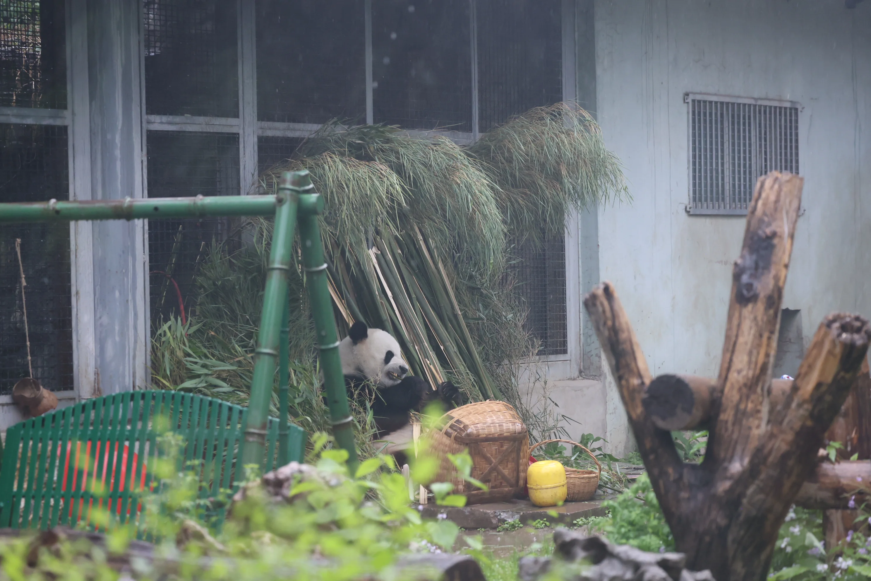 Beijing Zoo