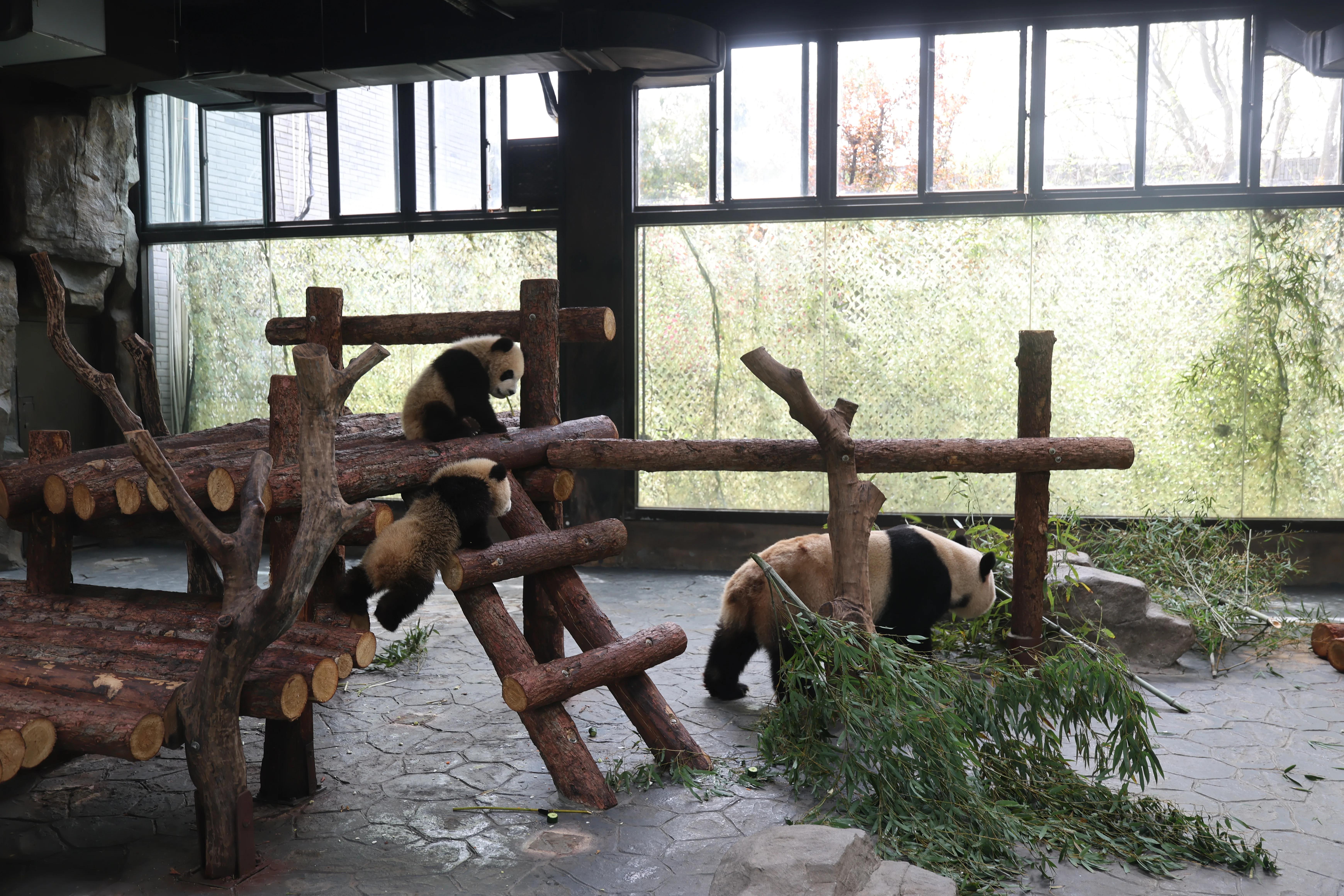 Shanghai Wild Animal Park