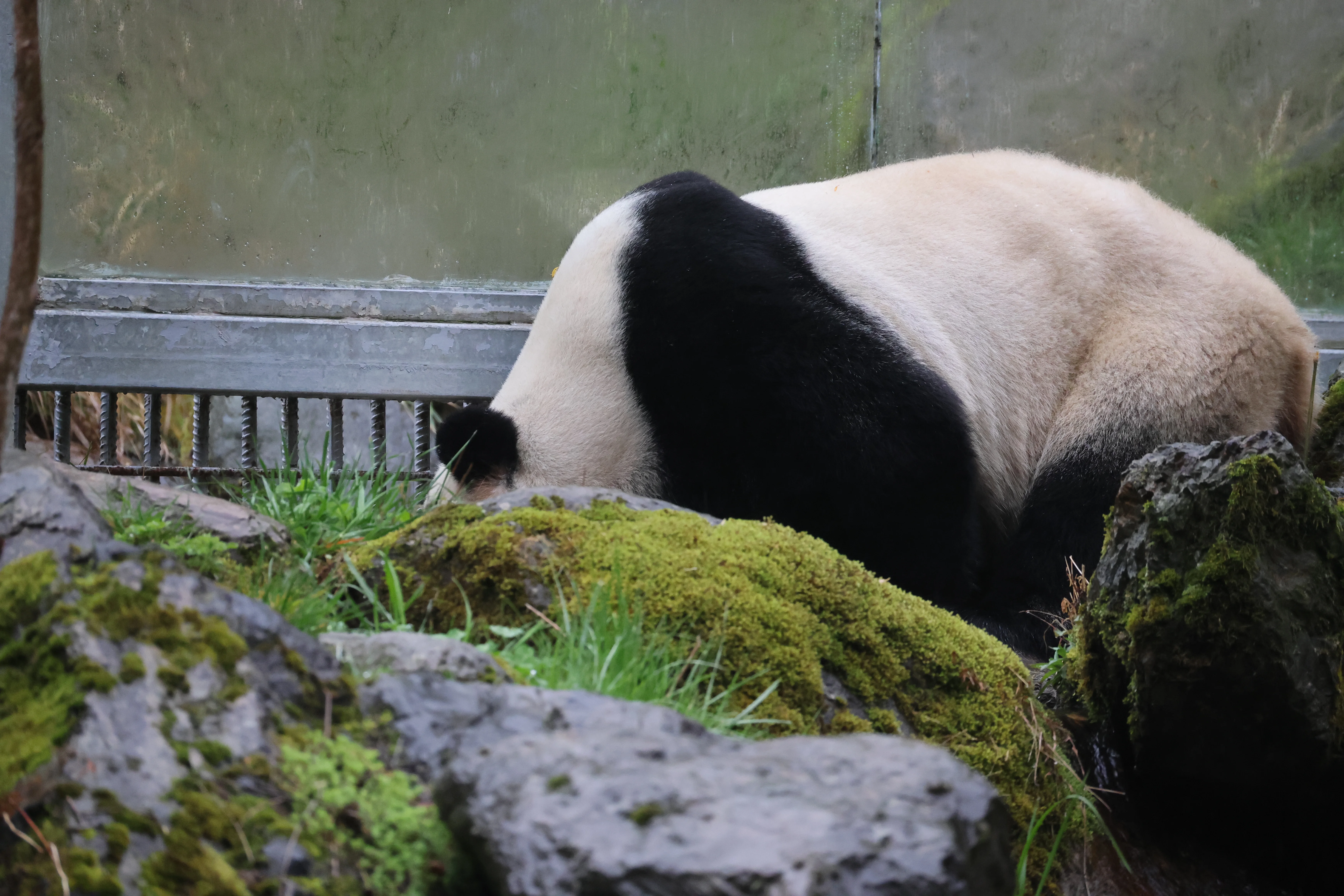 Guanmenshan Scenic Area