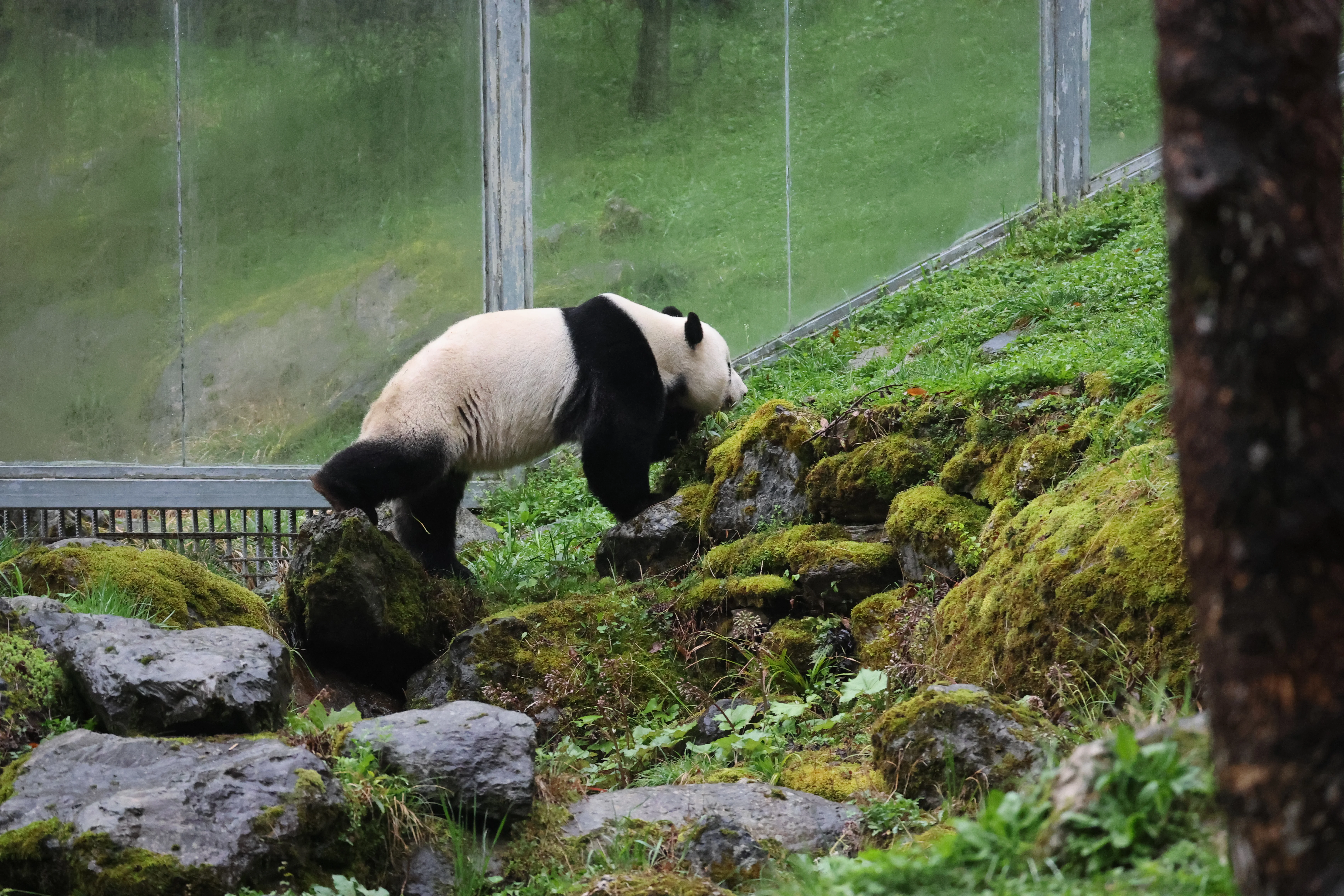 Guanmenshan Scenic Area