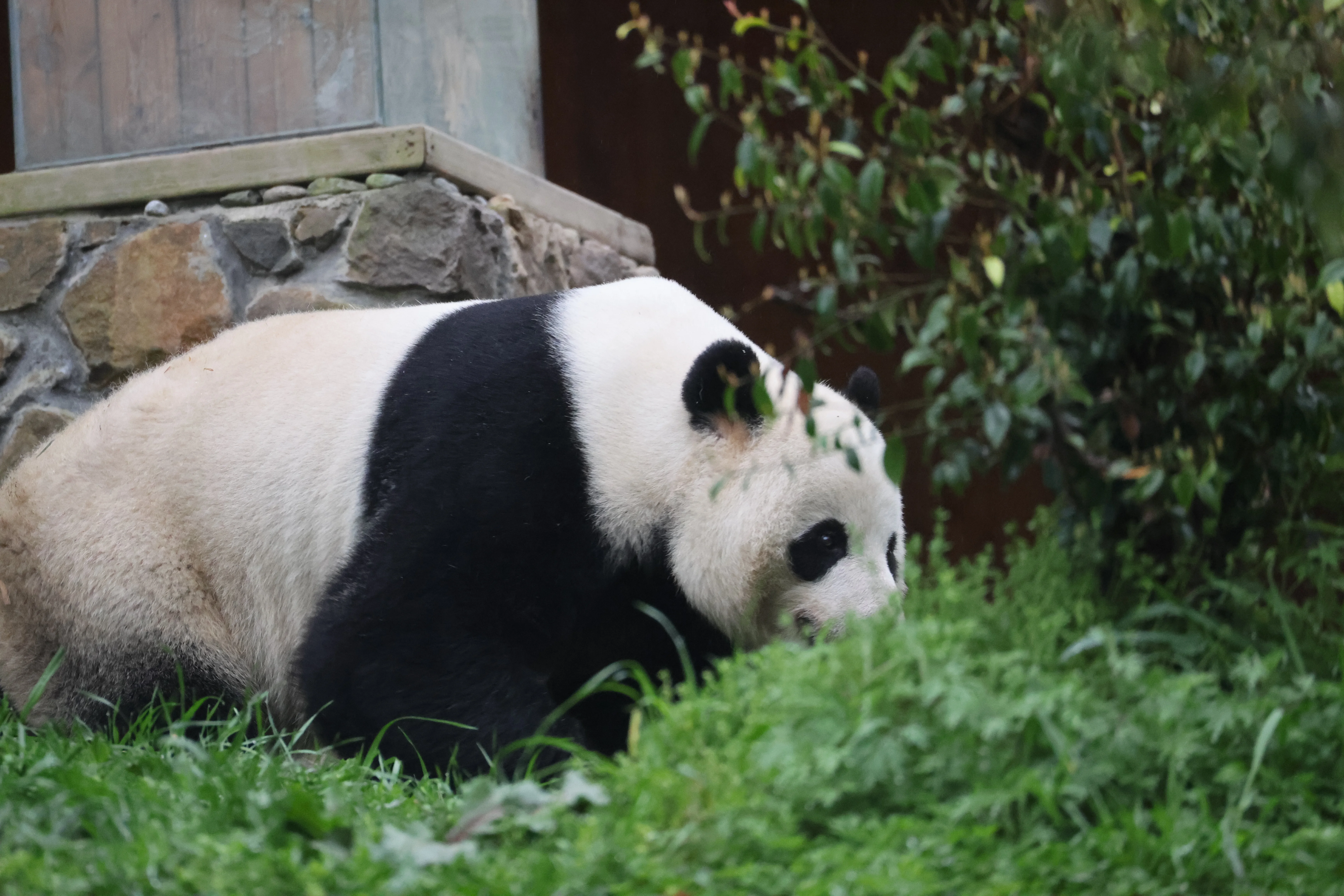 Guanmenshan Scenic Area