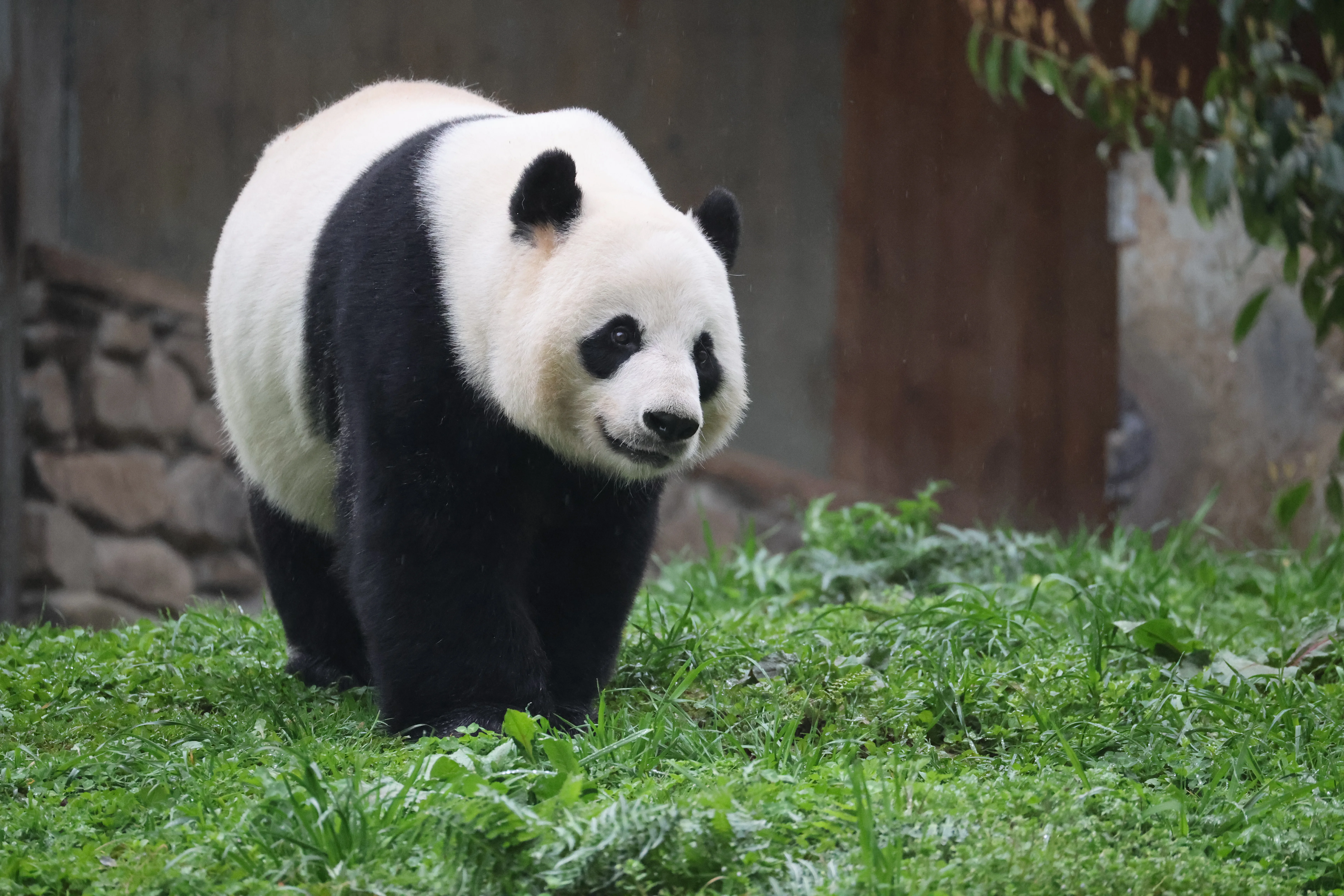 Guanmenshan Scenic Area