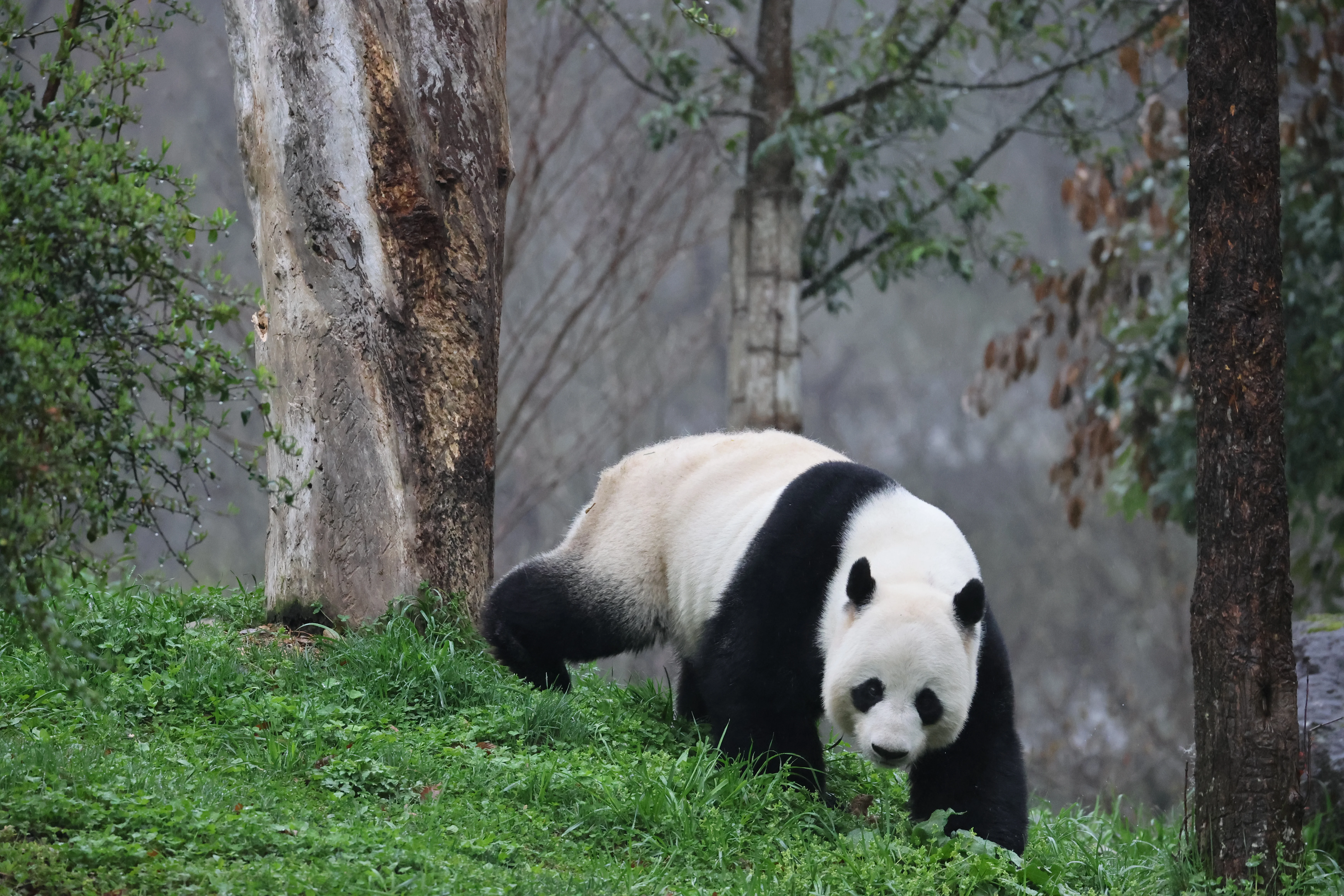 Guanmenshan Scenic Area
