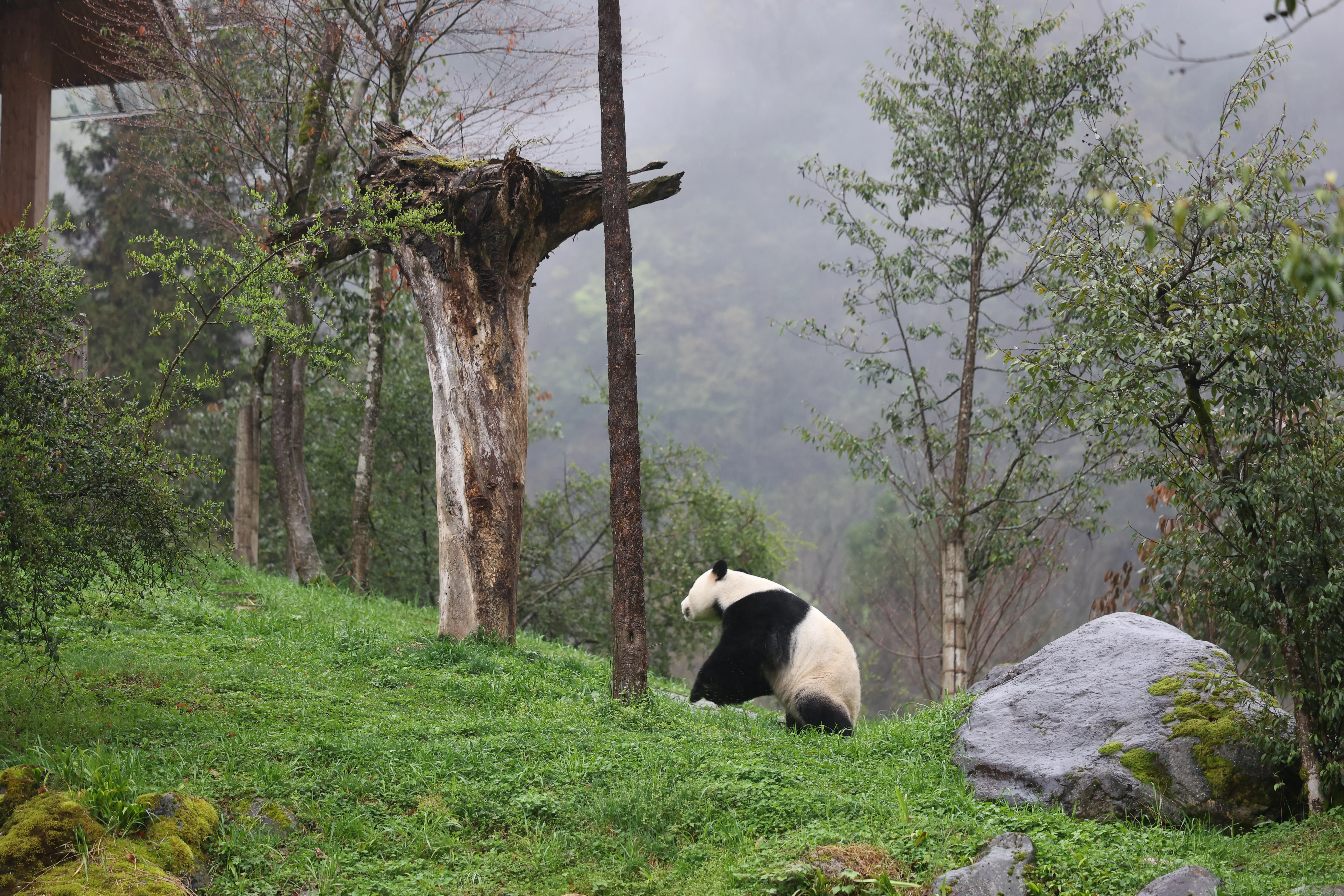 Guanmenshan Scenic Area