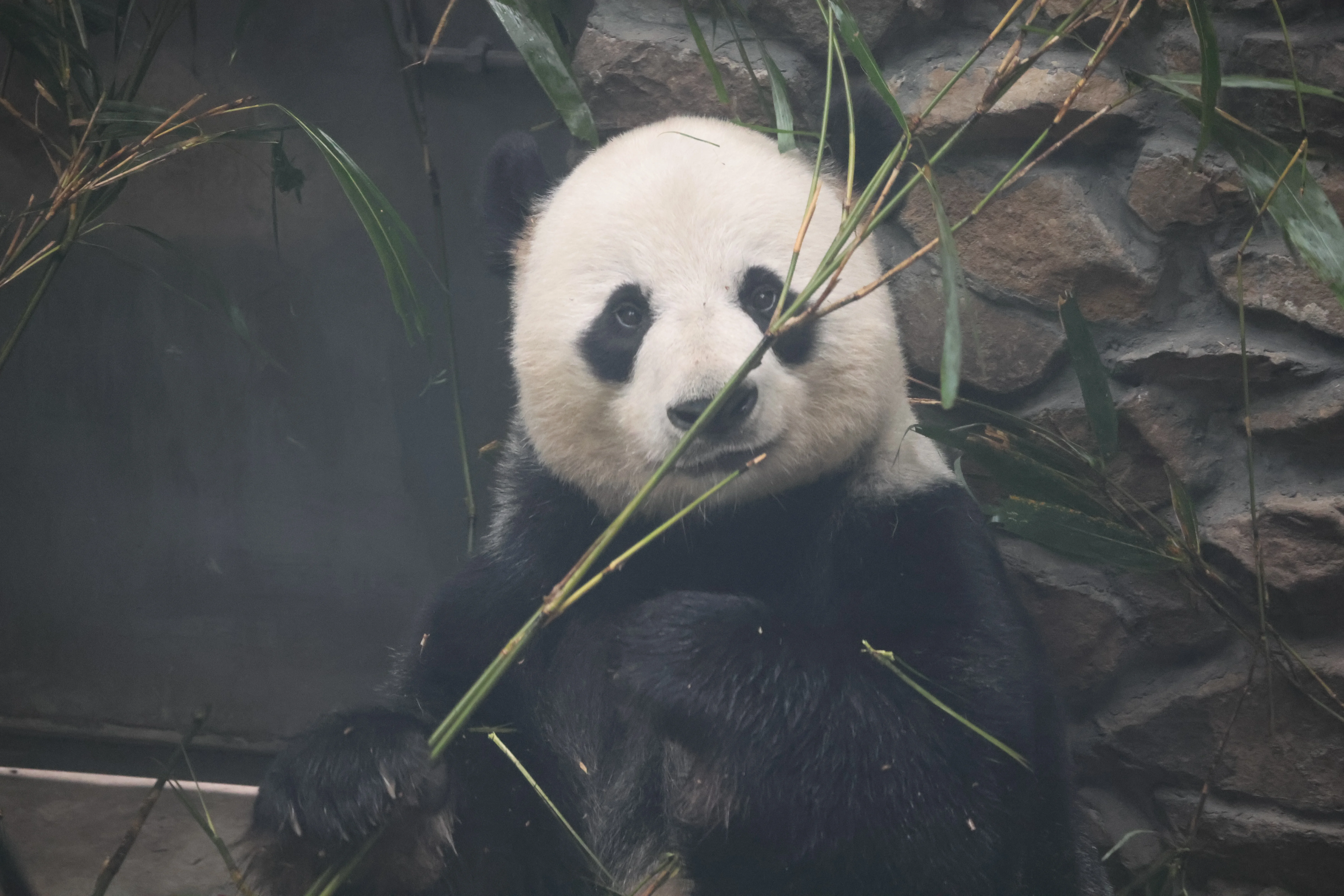 Guanmenshan Scenic Area