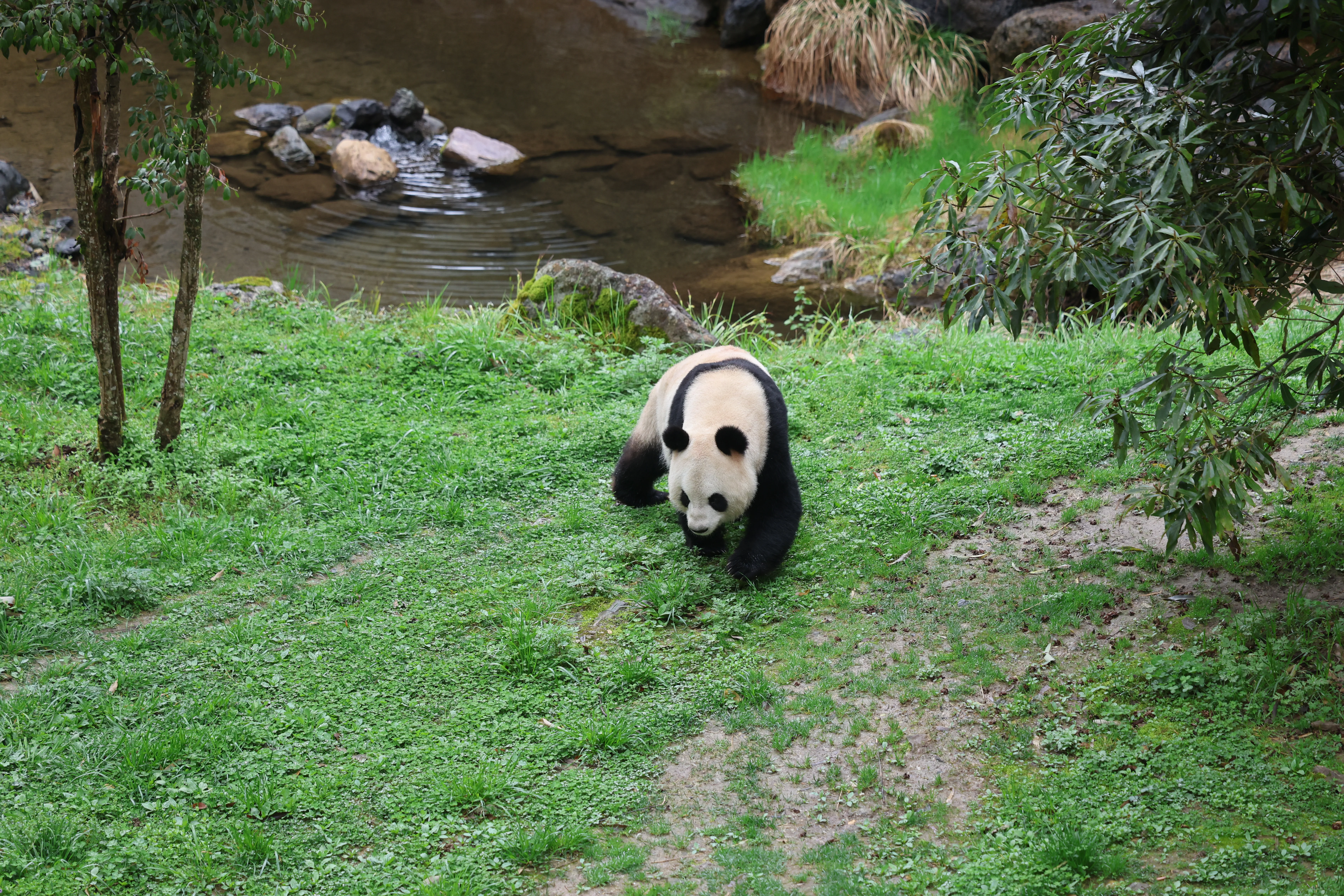 Guanmenshan Scenic Area