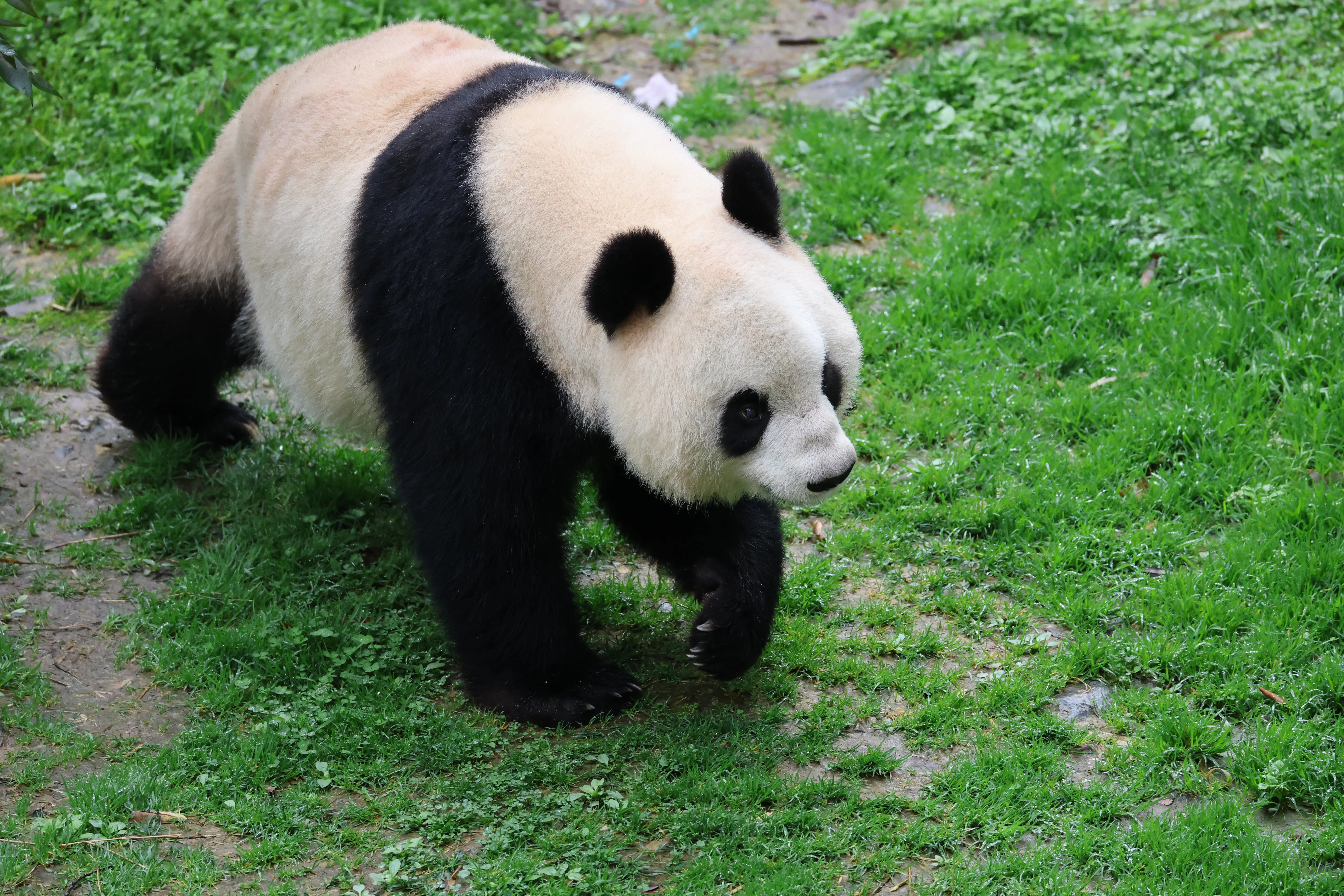 Guanmenshan Scenic Area