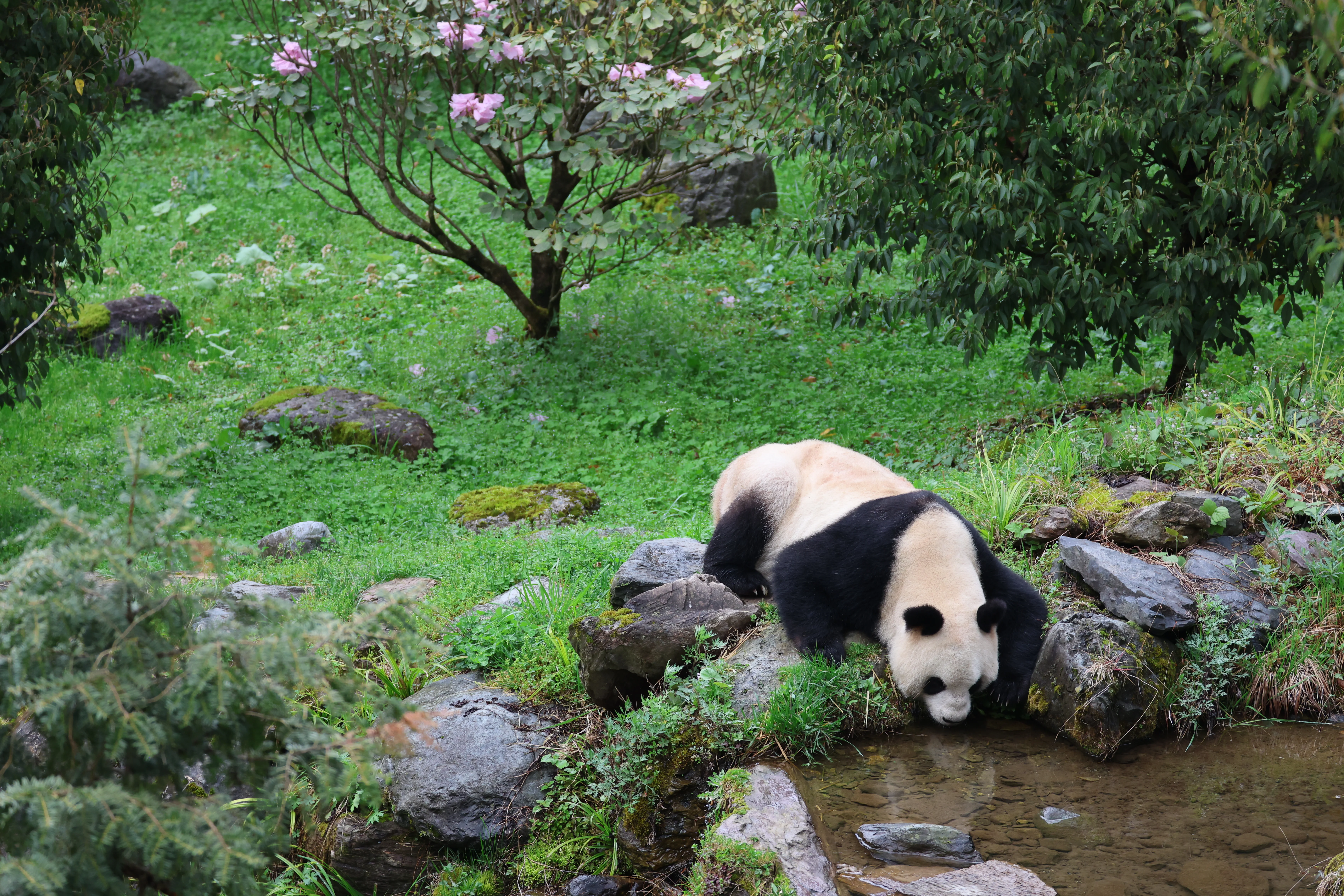 Guanmenshan Scenic Area