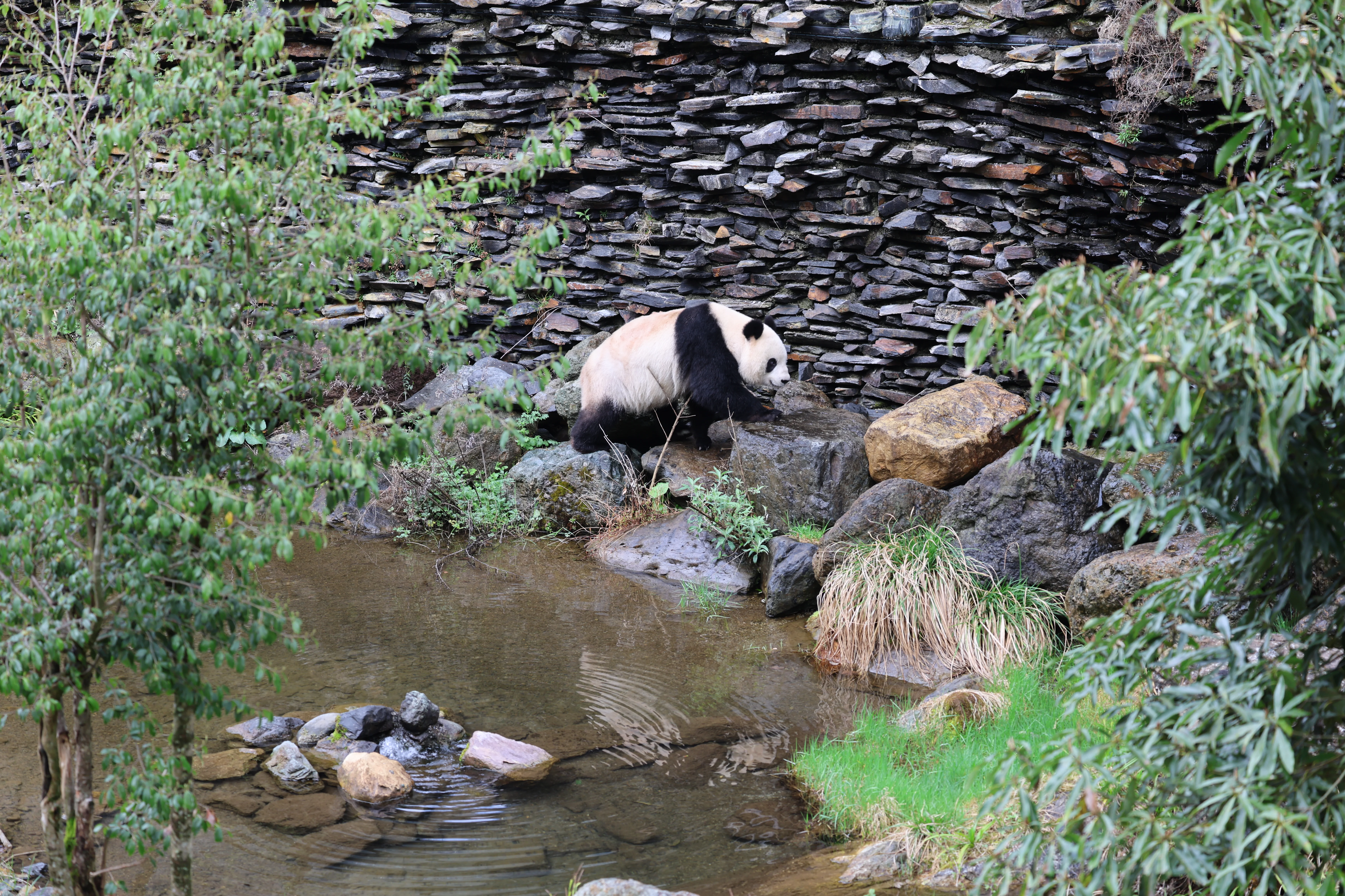 Guanmenshan Scenic Area