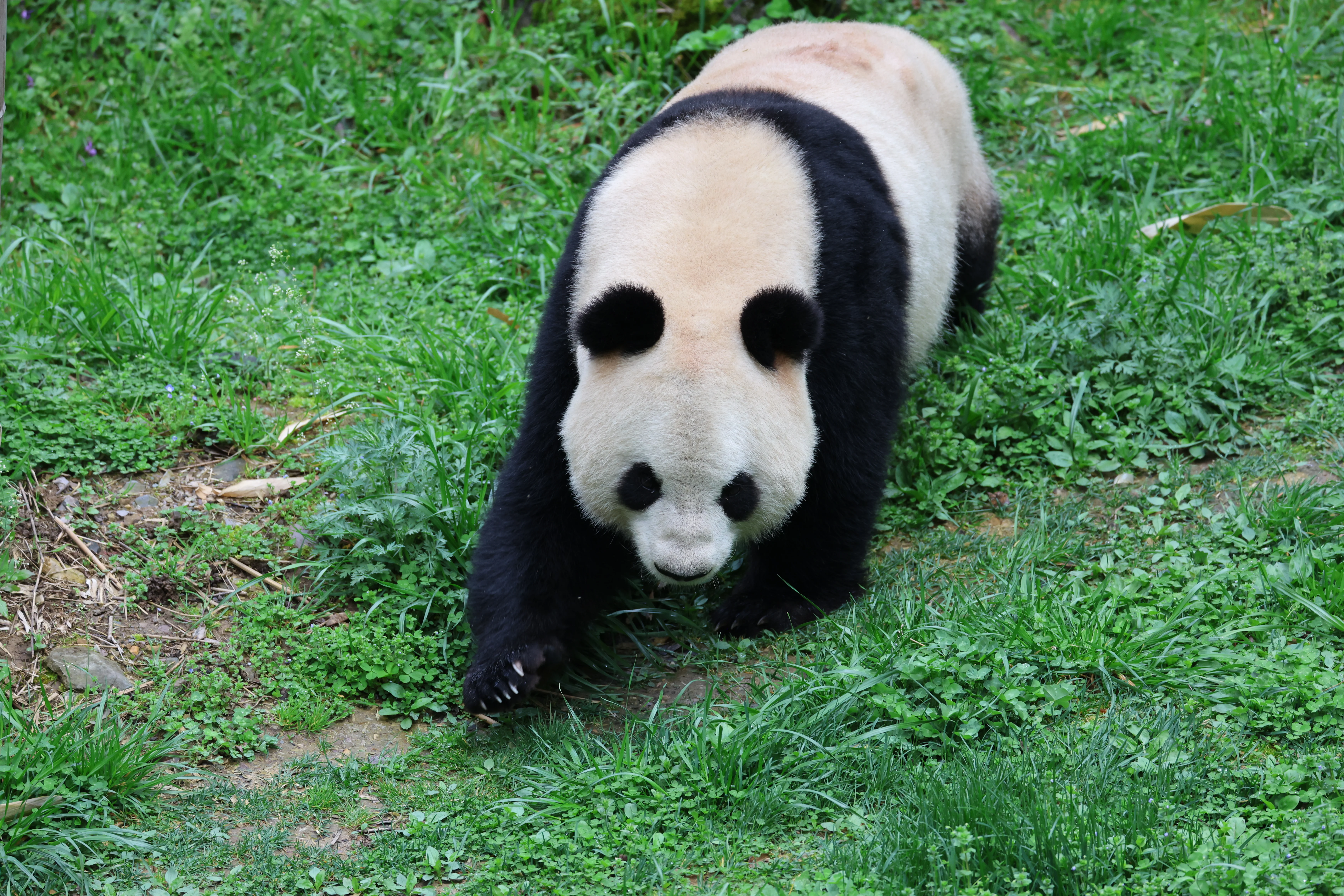 Guanmenshan Scenic Area
