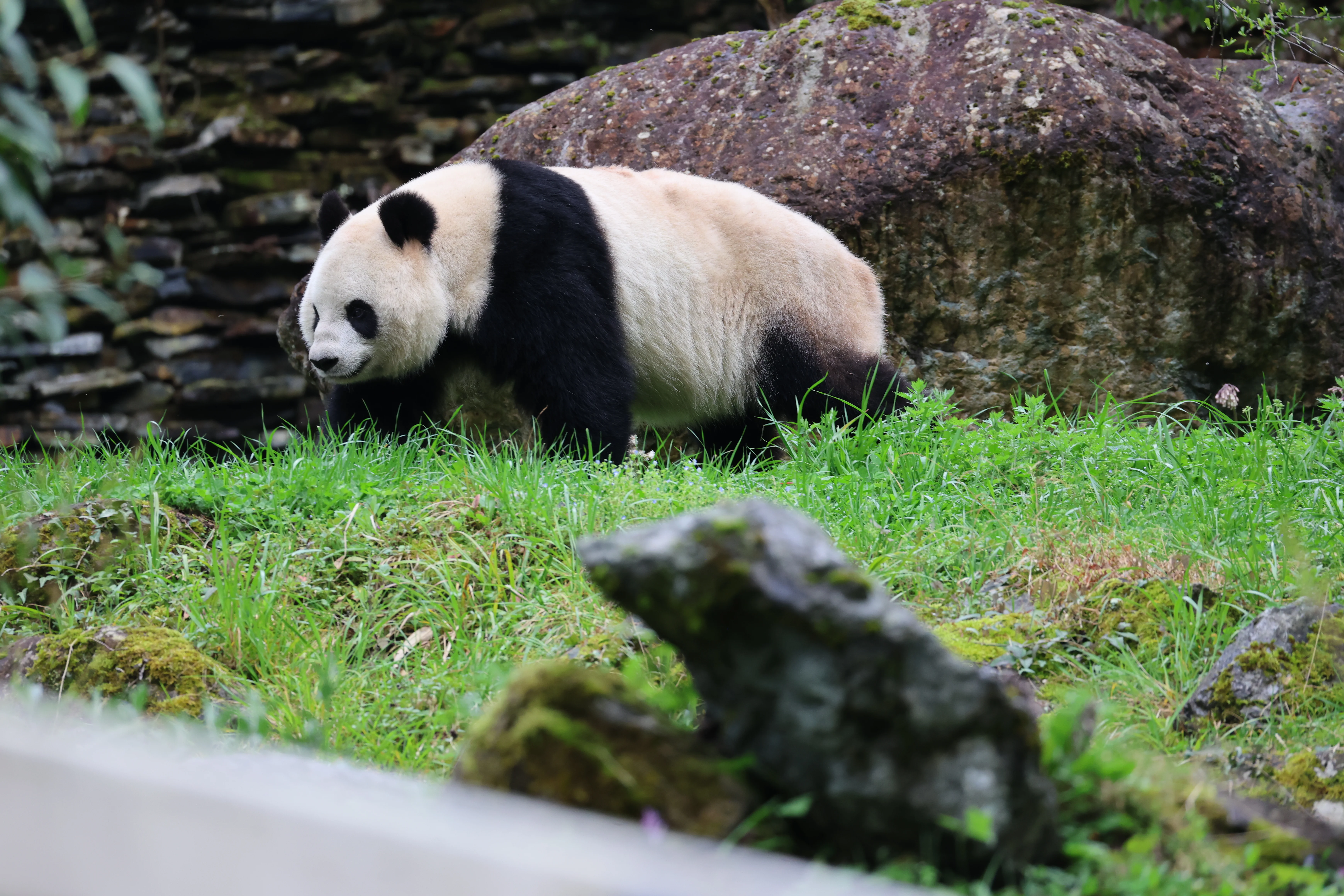 Guanmenshan Scenic Area