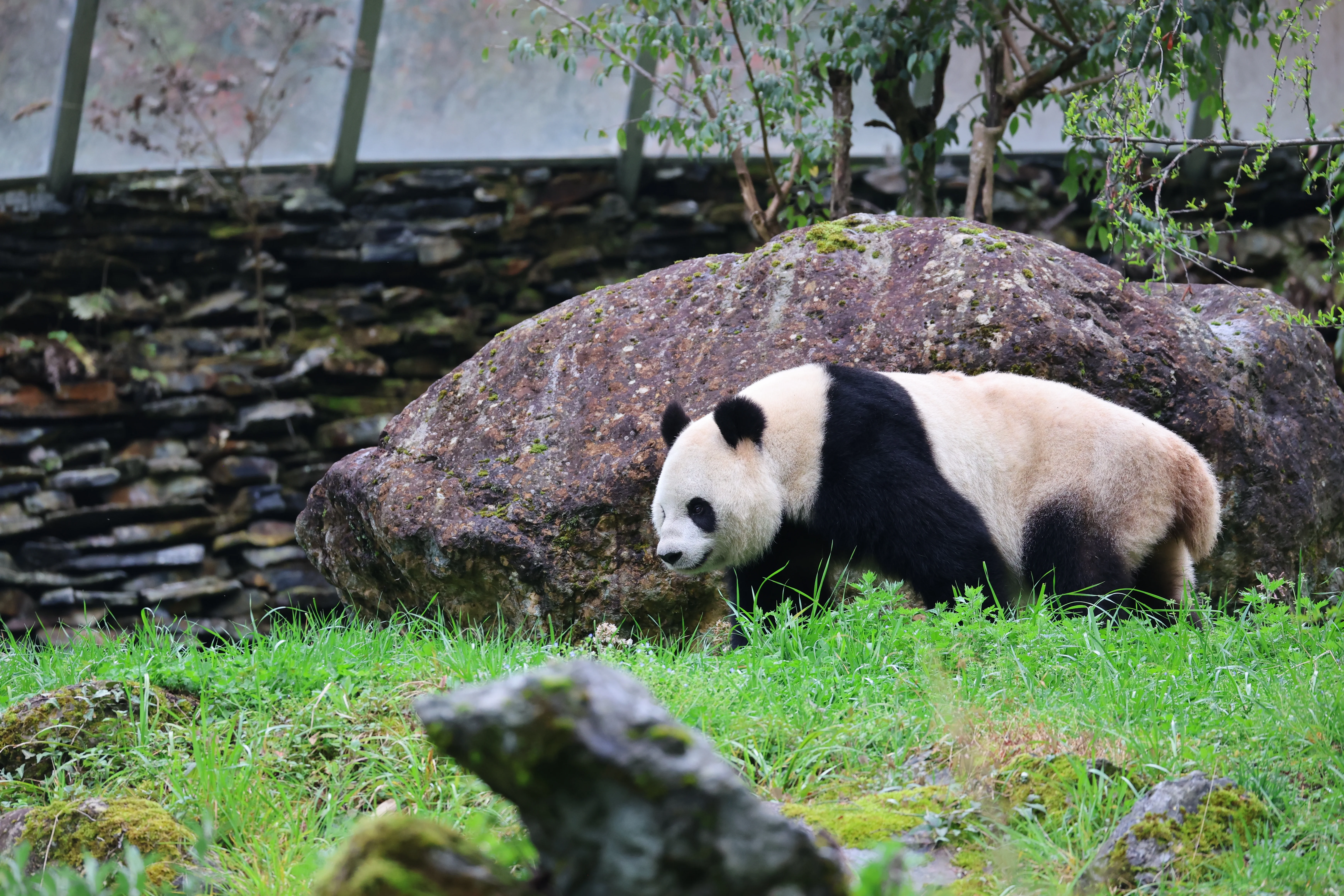 Guanmenshan Scenic Area