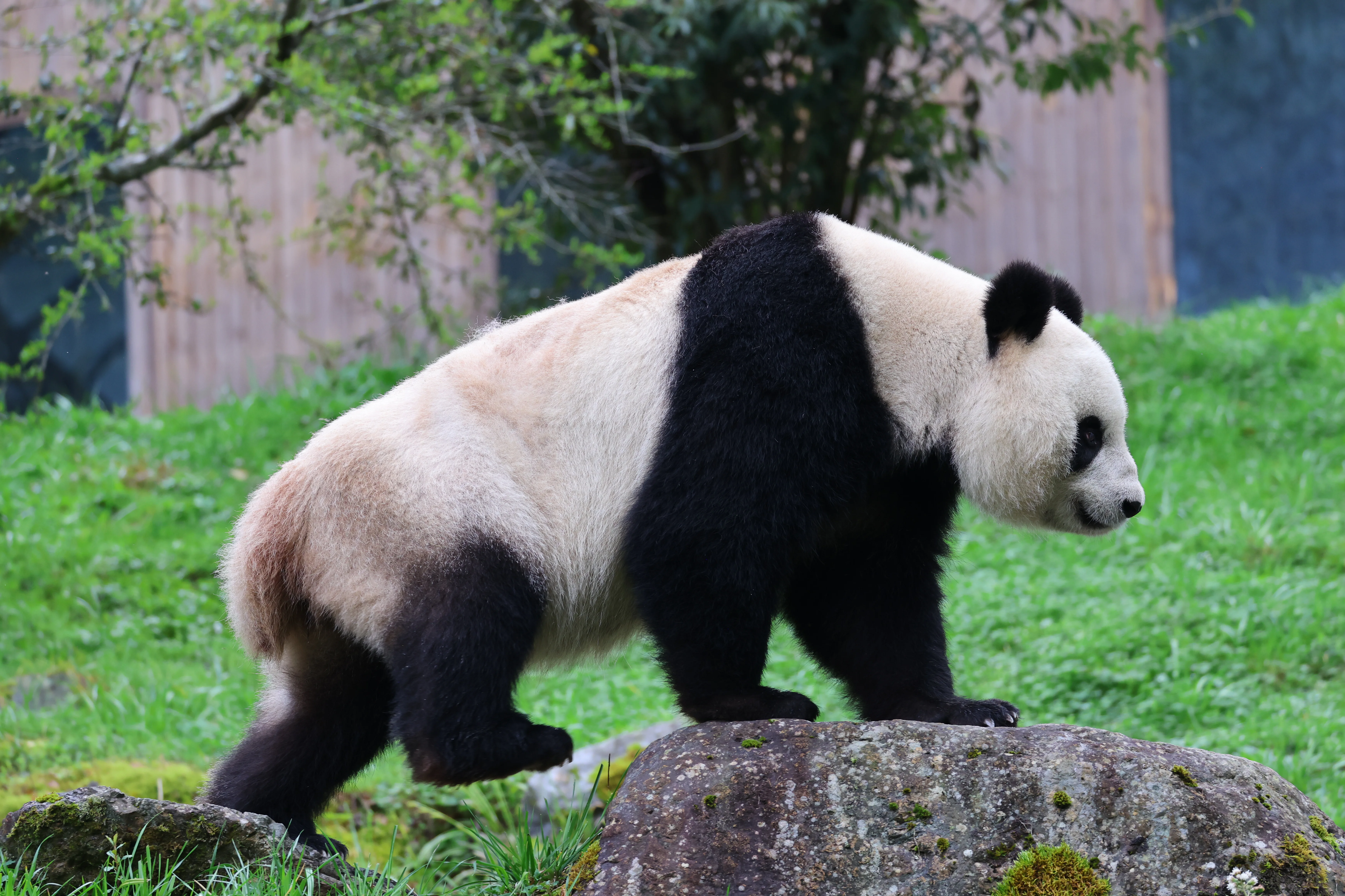 Guanmenshan Scenic Area