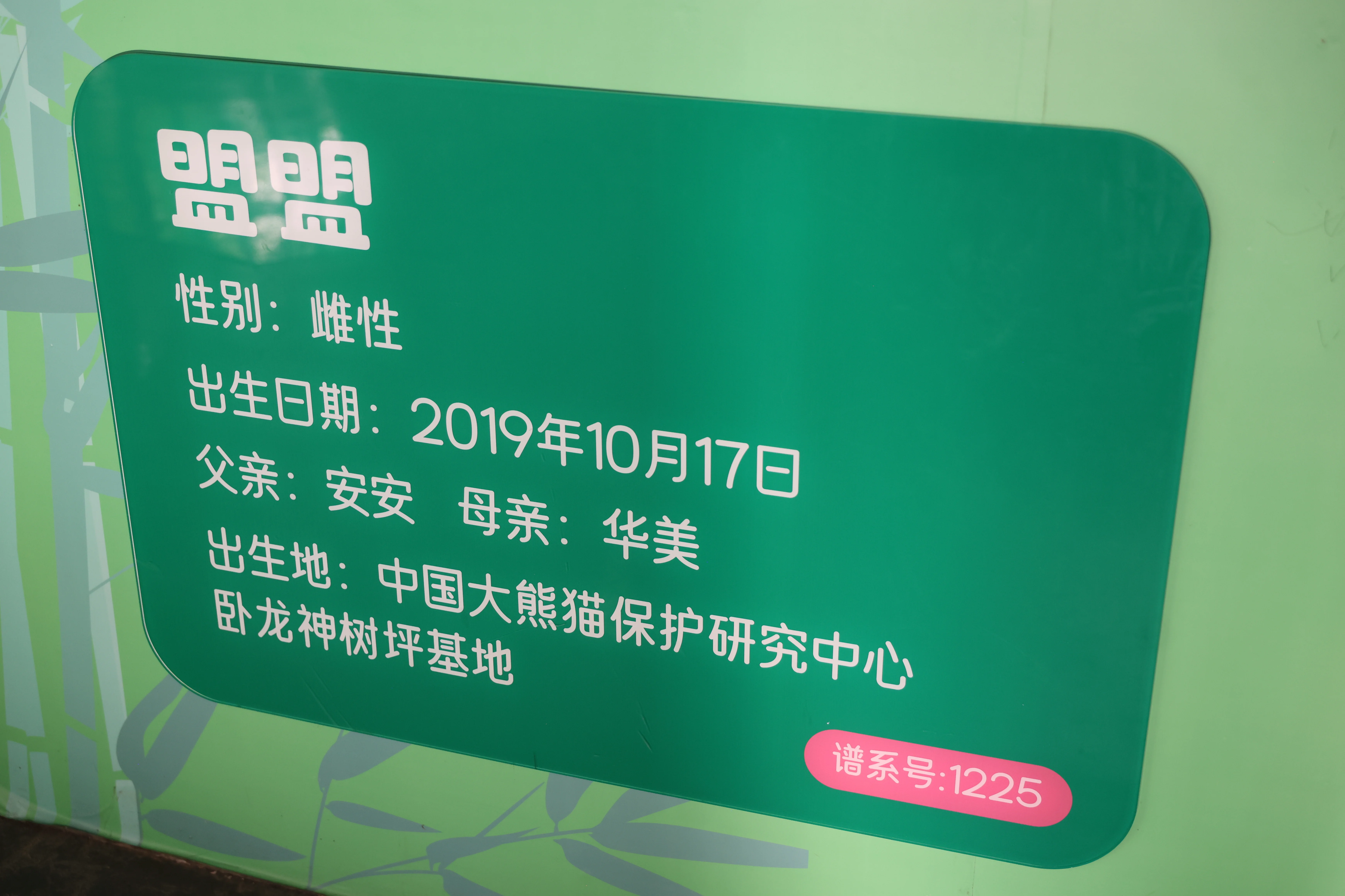 Wuhan Zoo