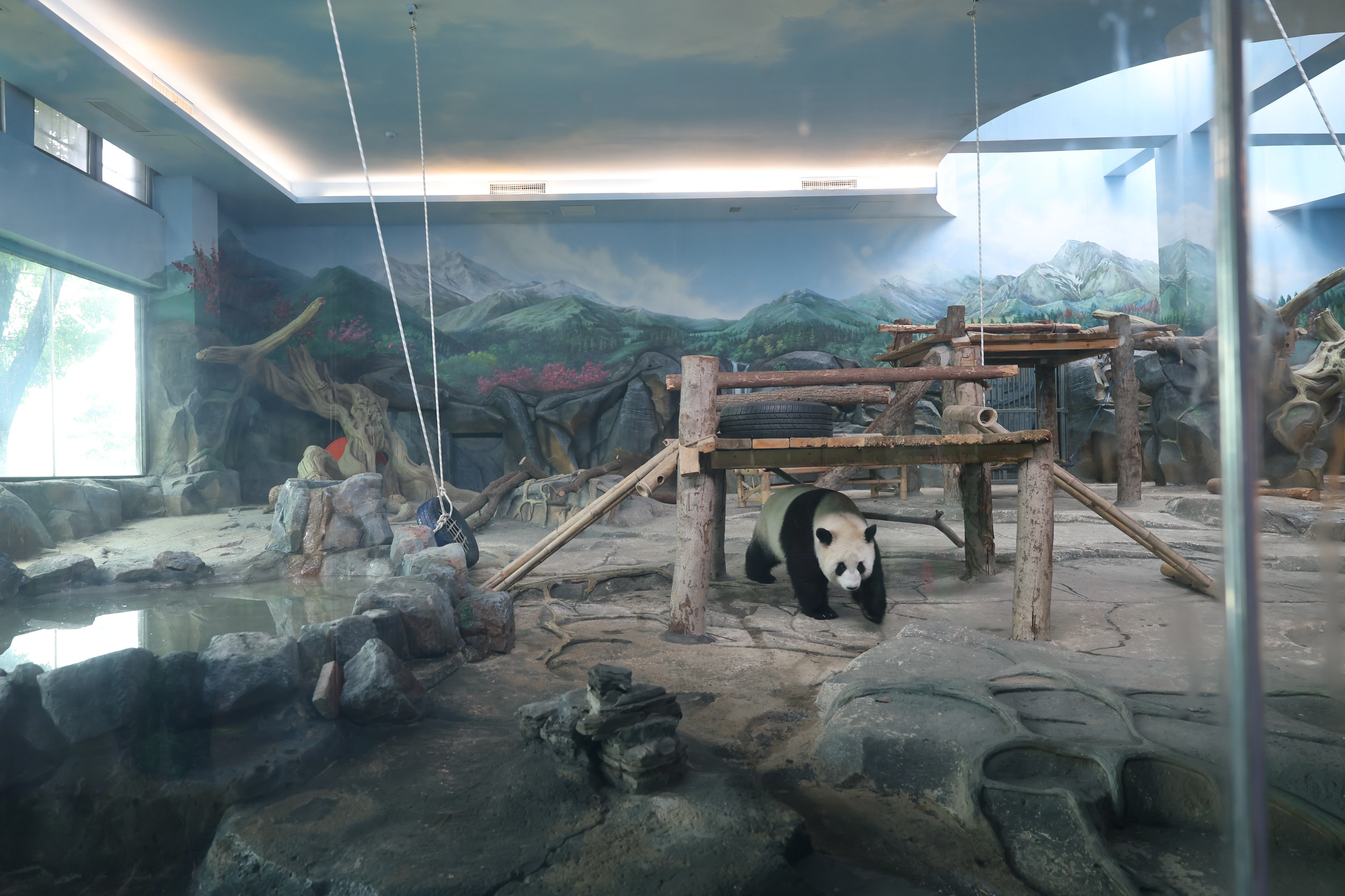 Wuhan Zoo