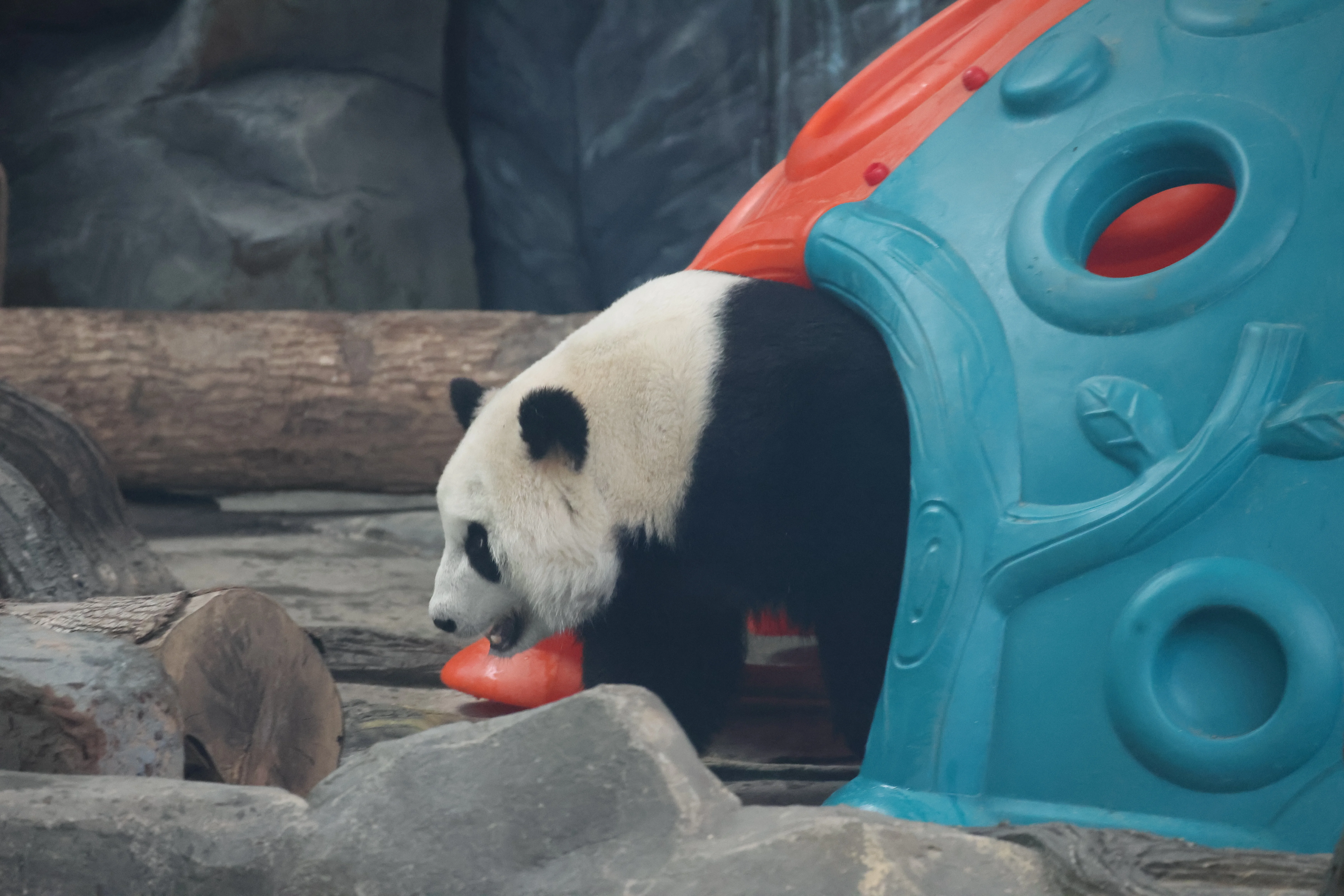 Wuhan Zoo