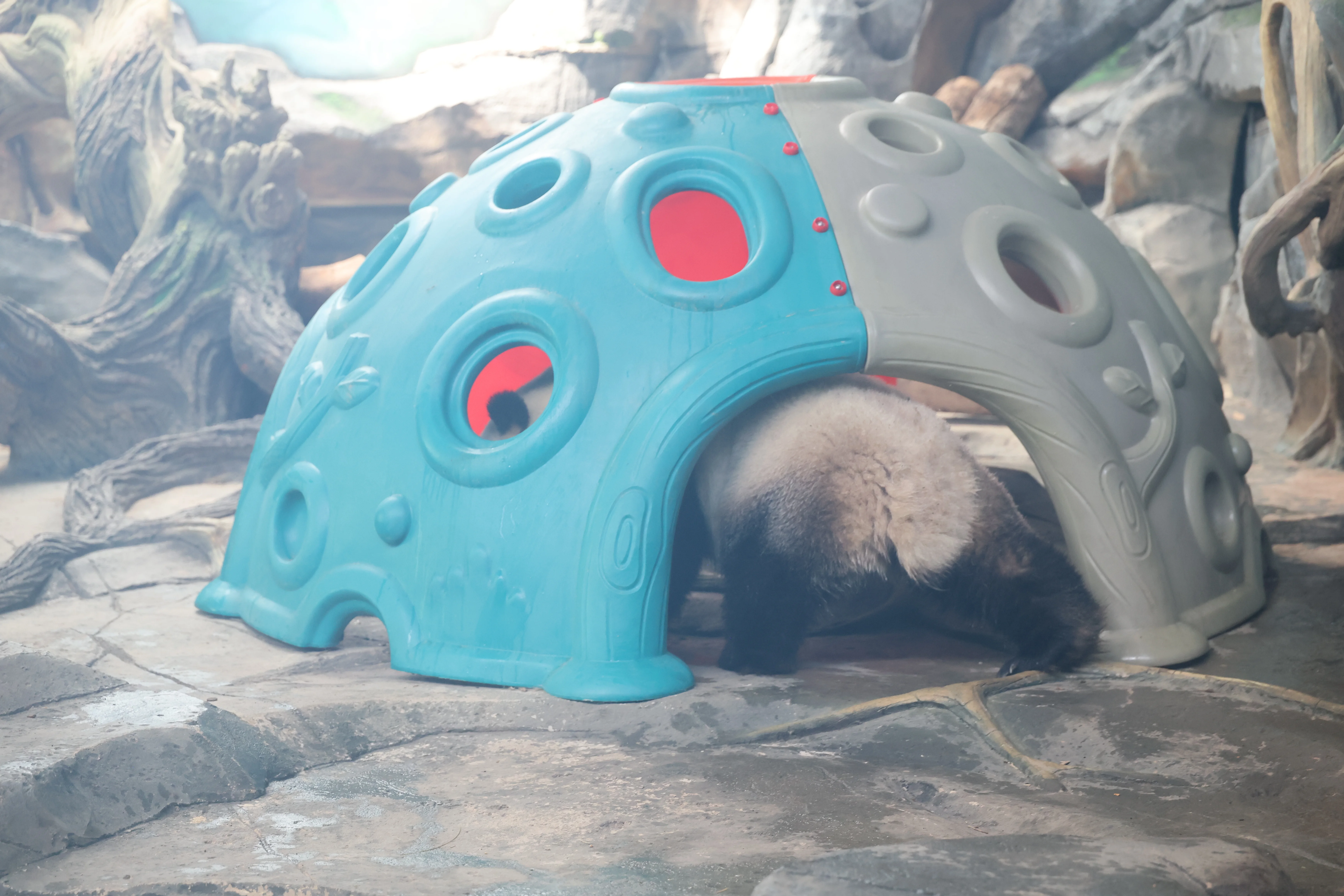 Wuhan Zoo