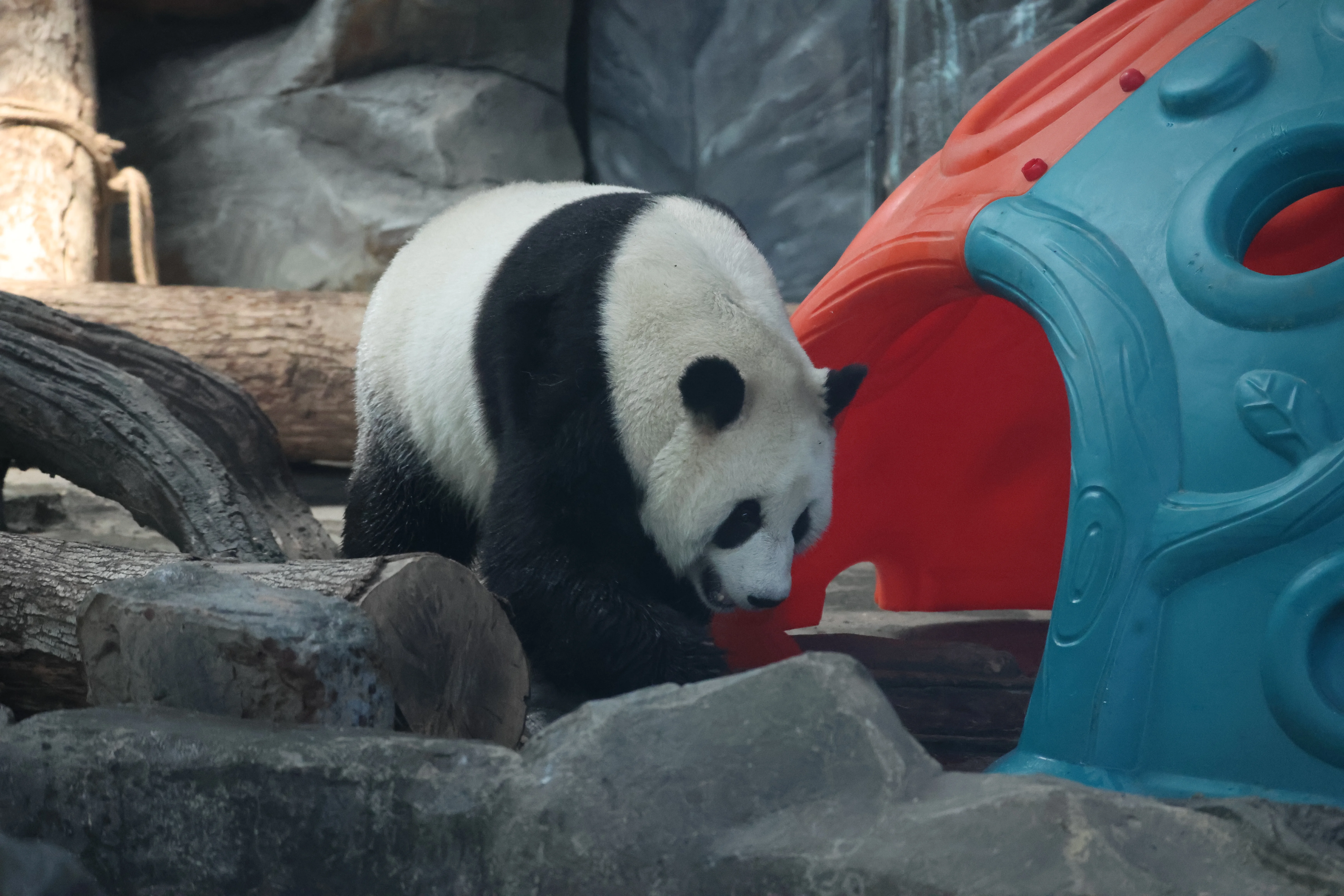 Wuhan Zoo