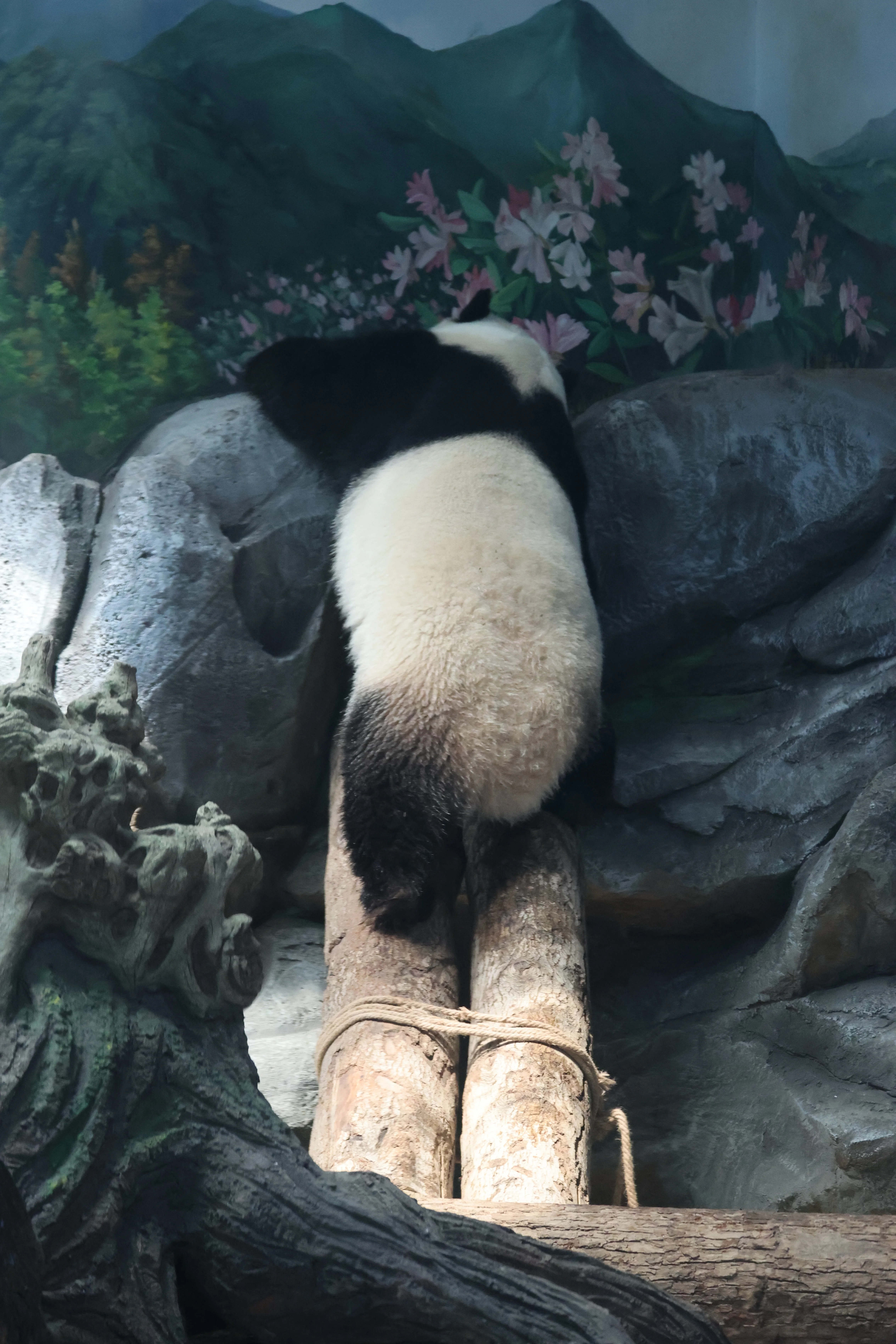 Wuhan Zoo