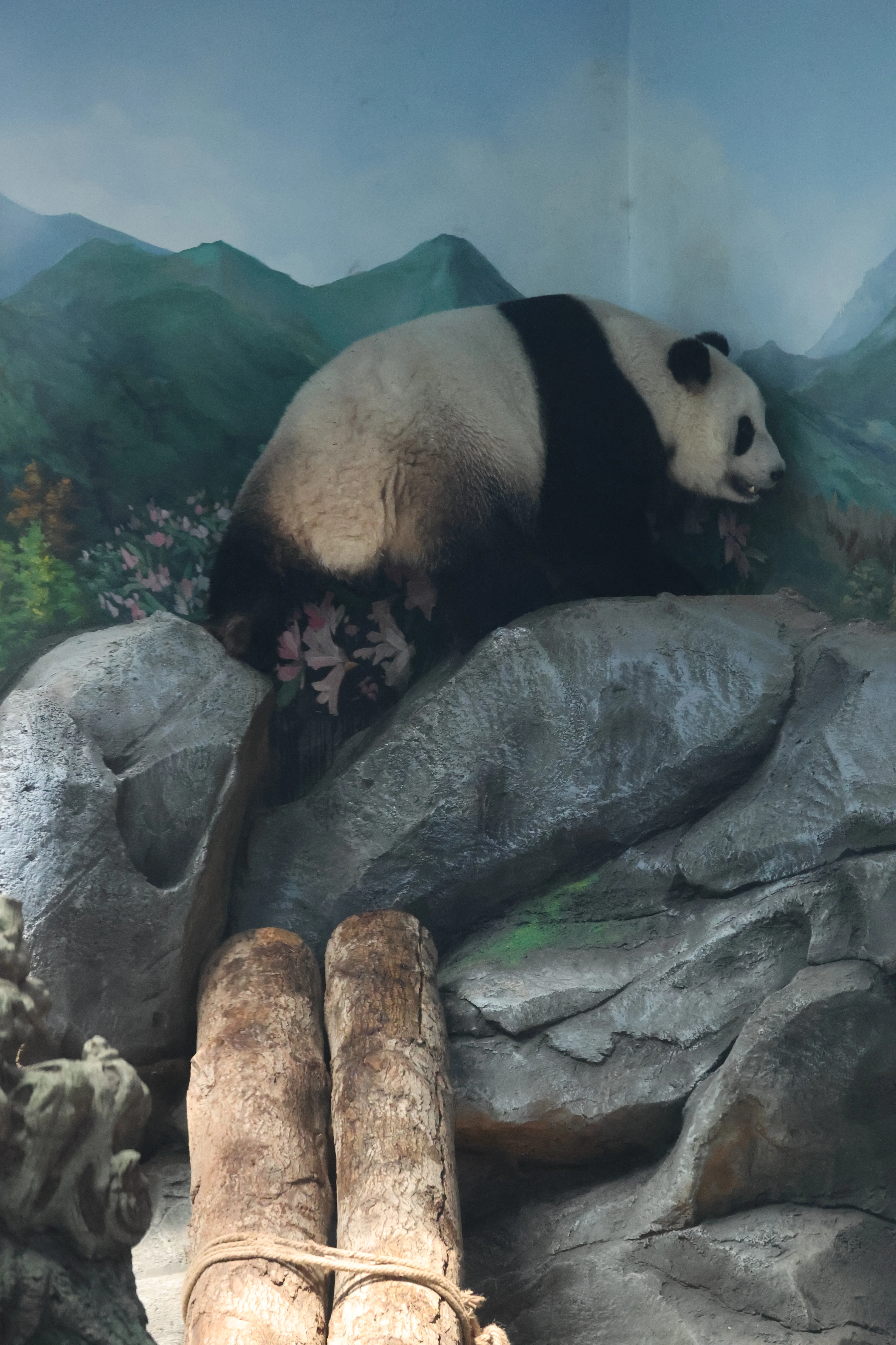 Wuhan Zoo