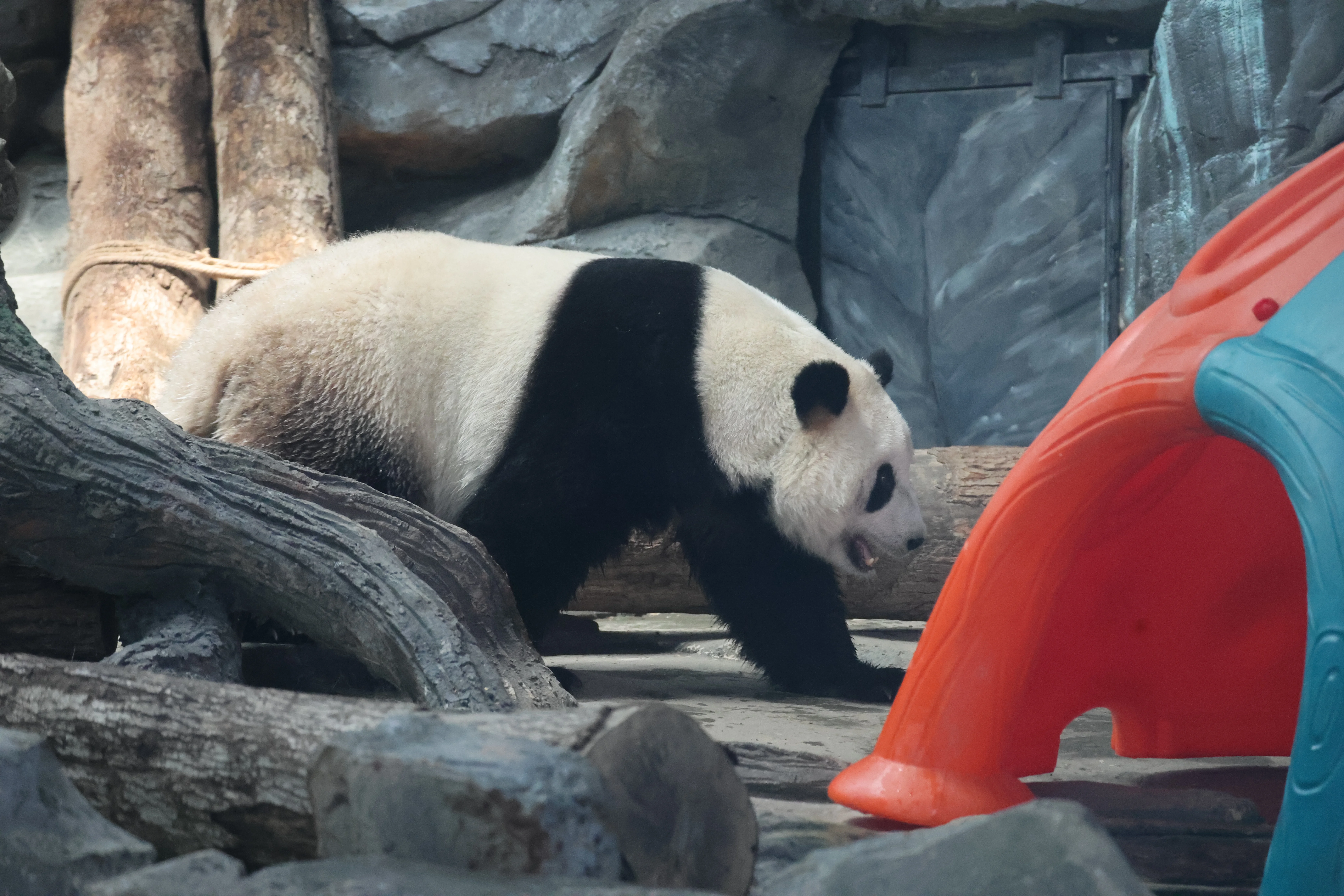 Wuhan Zoo