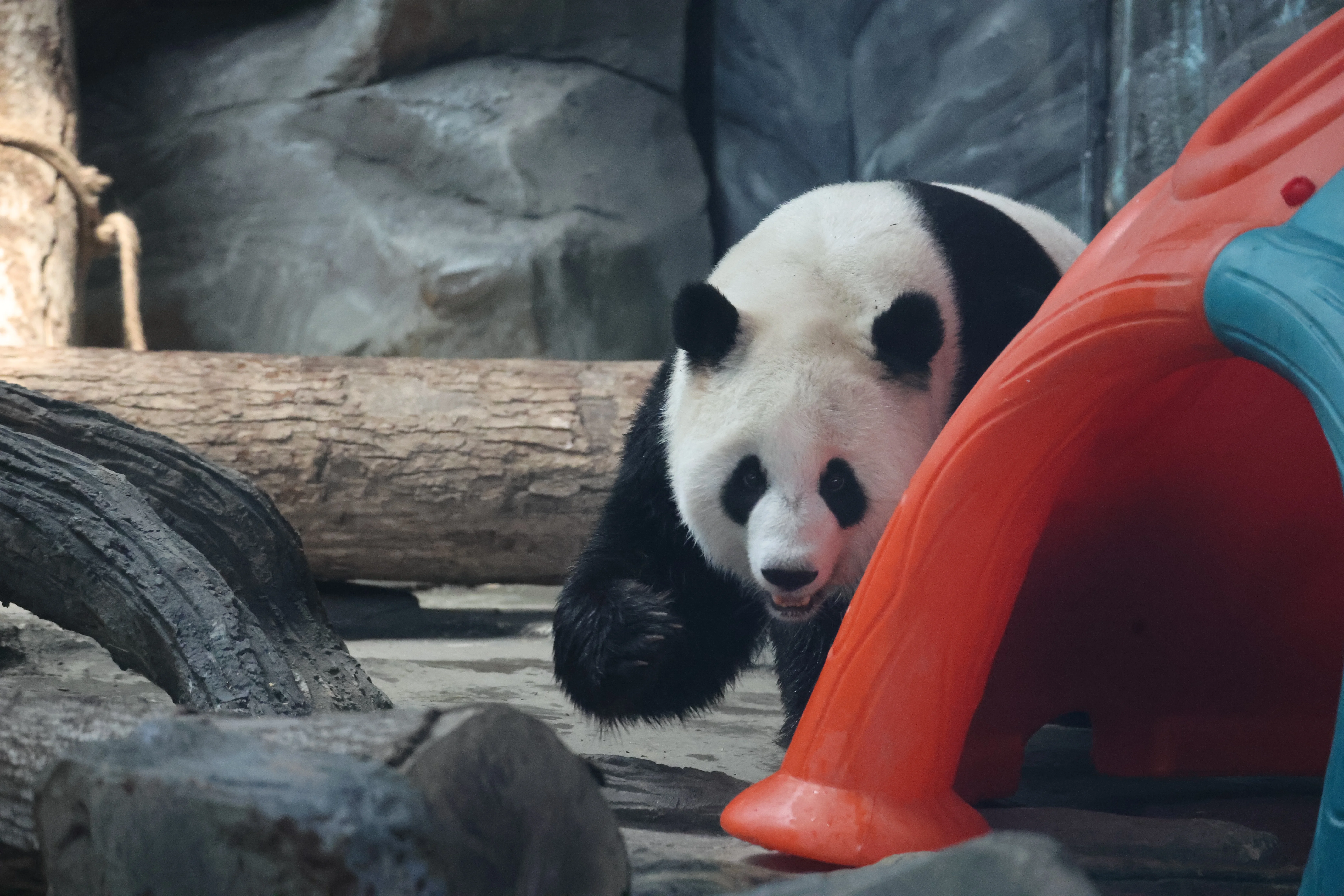 Wuhan Zoo