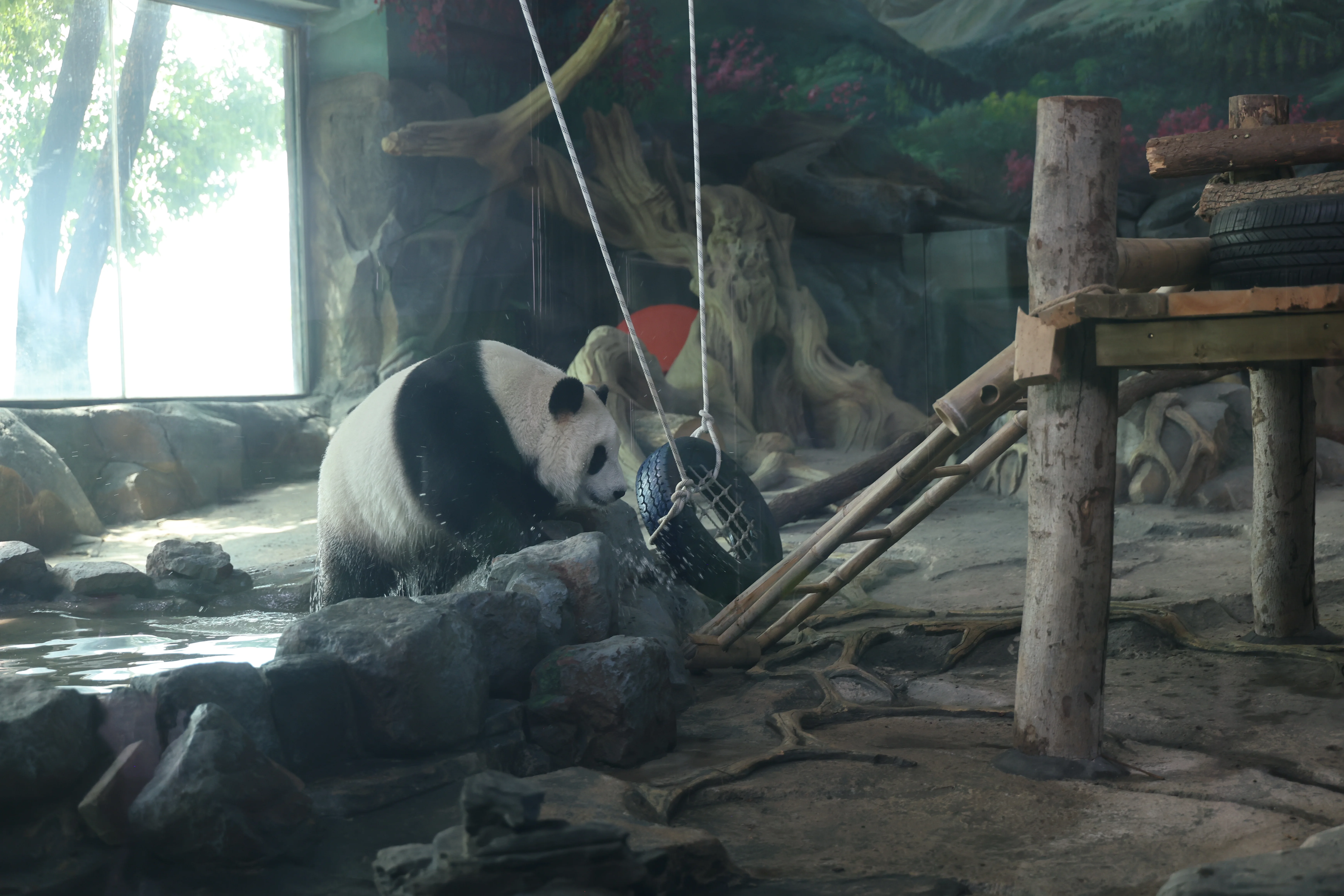 Wuhan Zoo